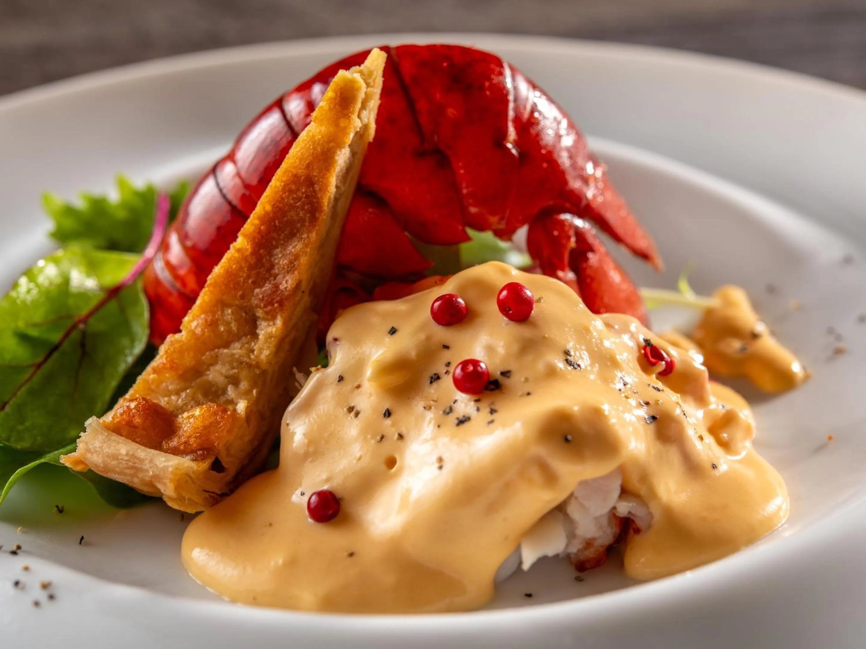 Dinner in KAMENOI HOTEL SHIOBARA Dog Friendly Hotel