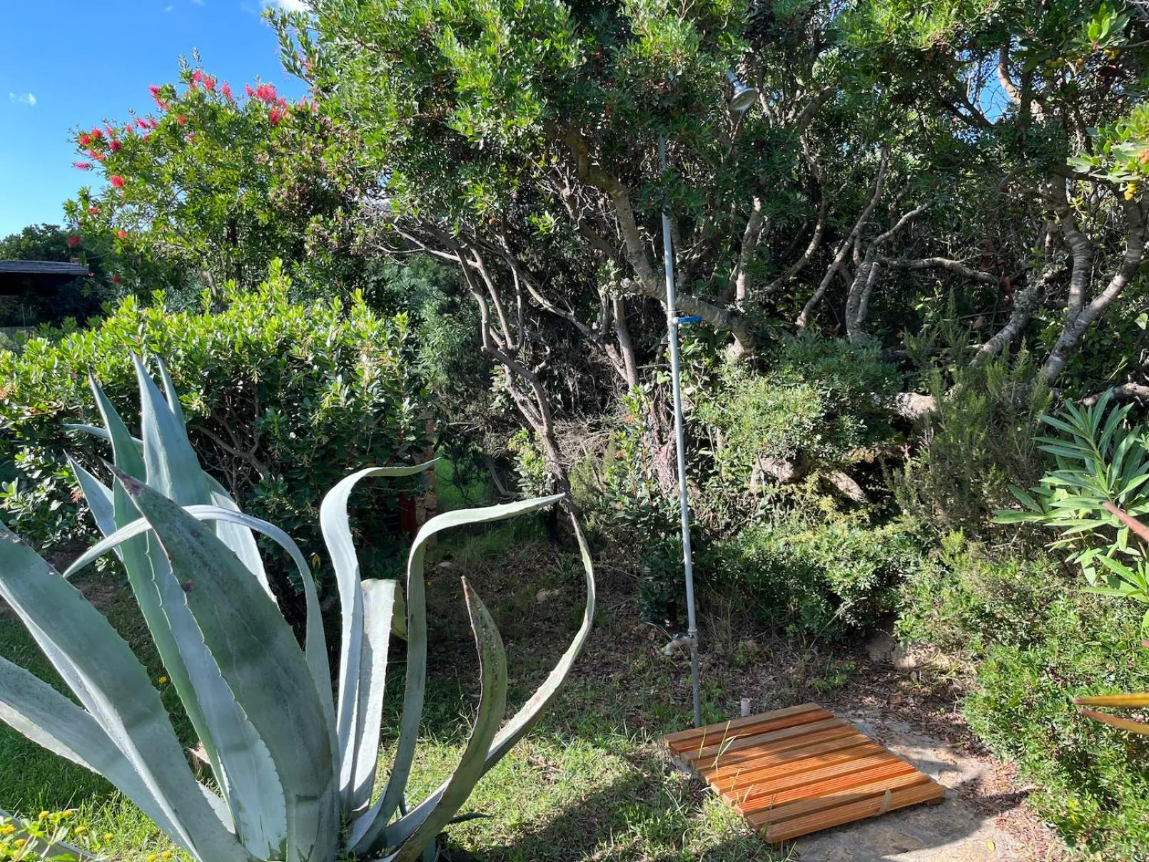 Porto Coda Cavallo Salina Bamba