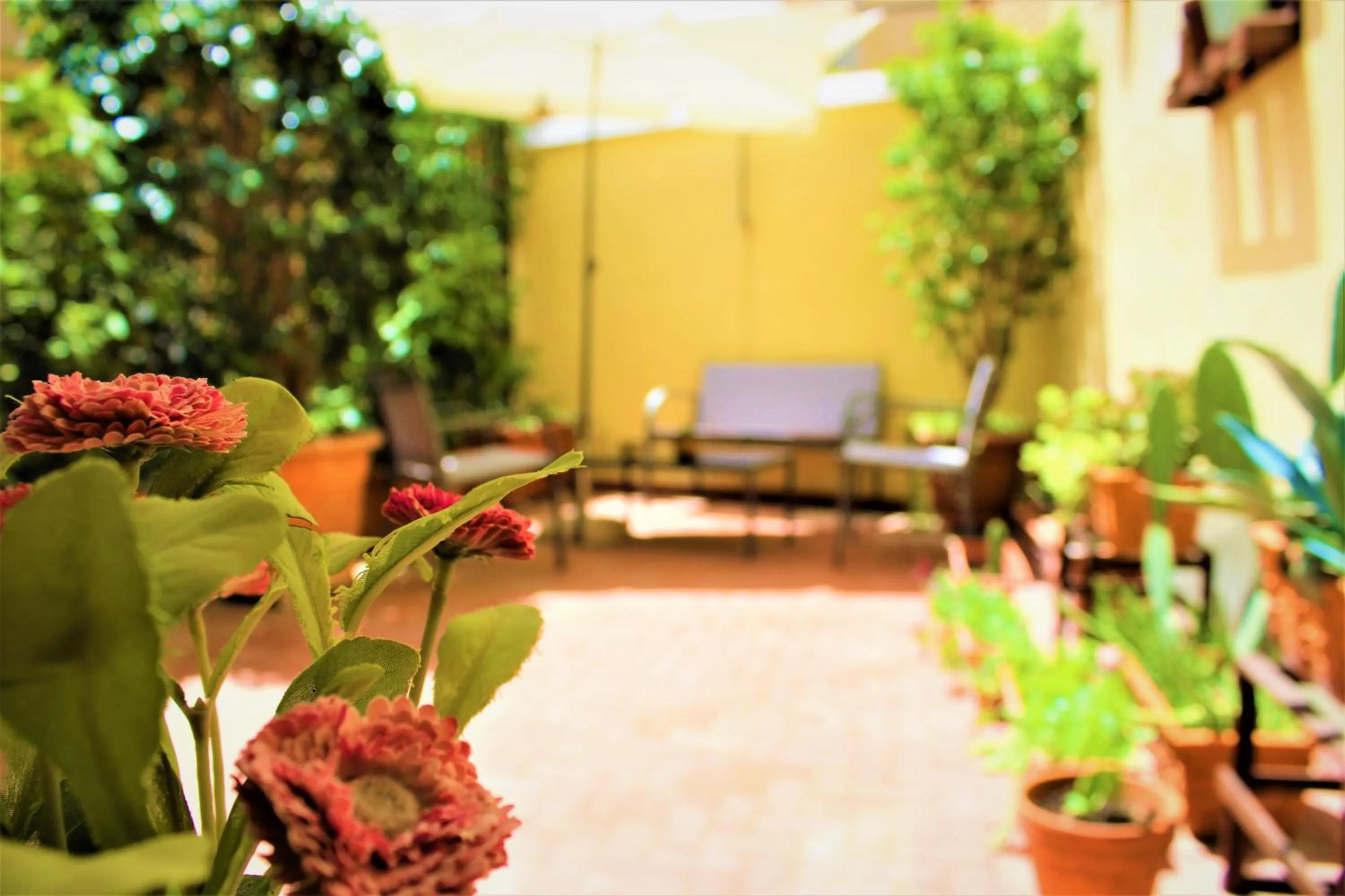 Balcony/Terrace in Di affreschi e volte