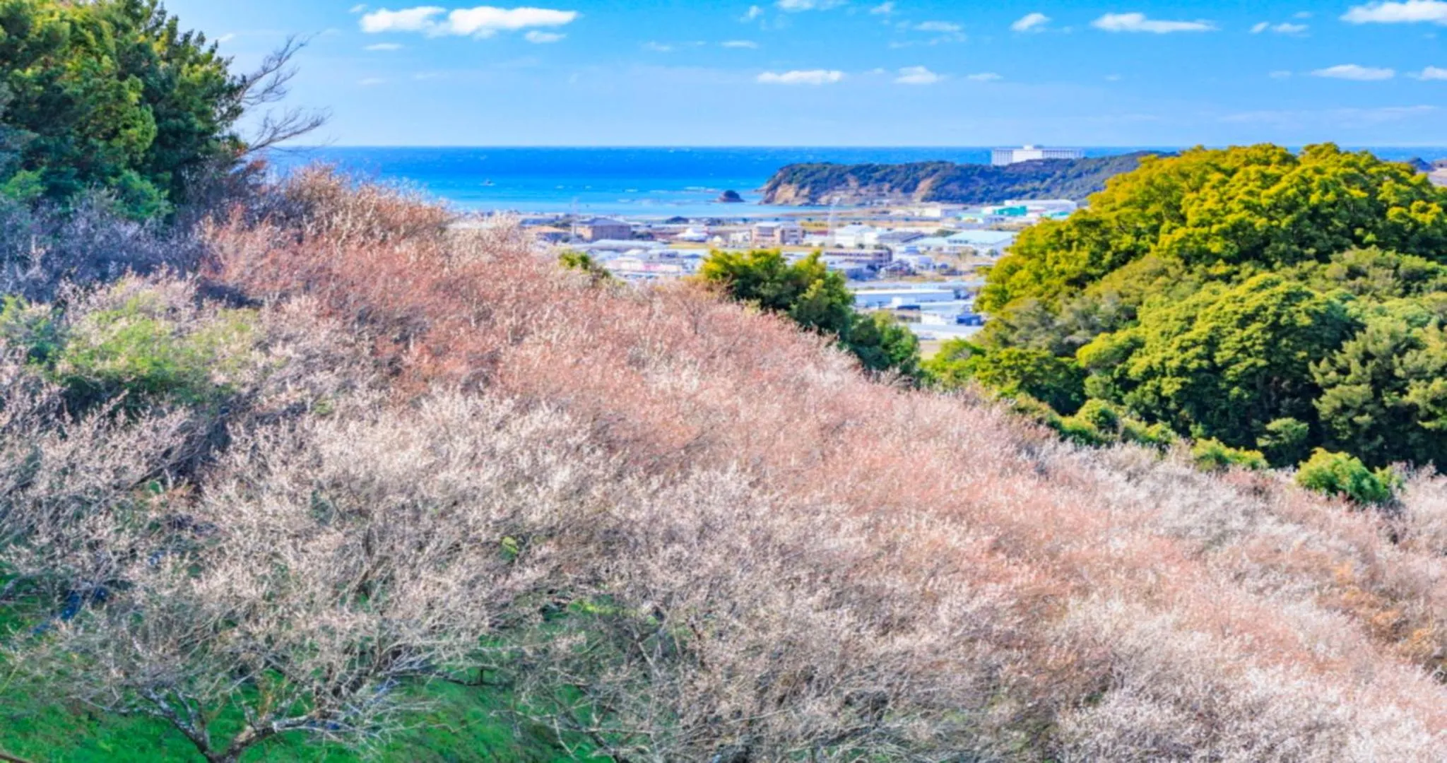 Nearby landmark in KAMENOI HOTEL Kii-Tanabe