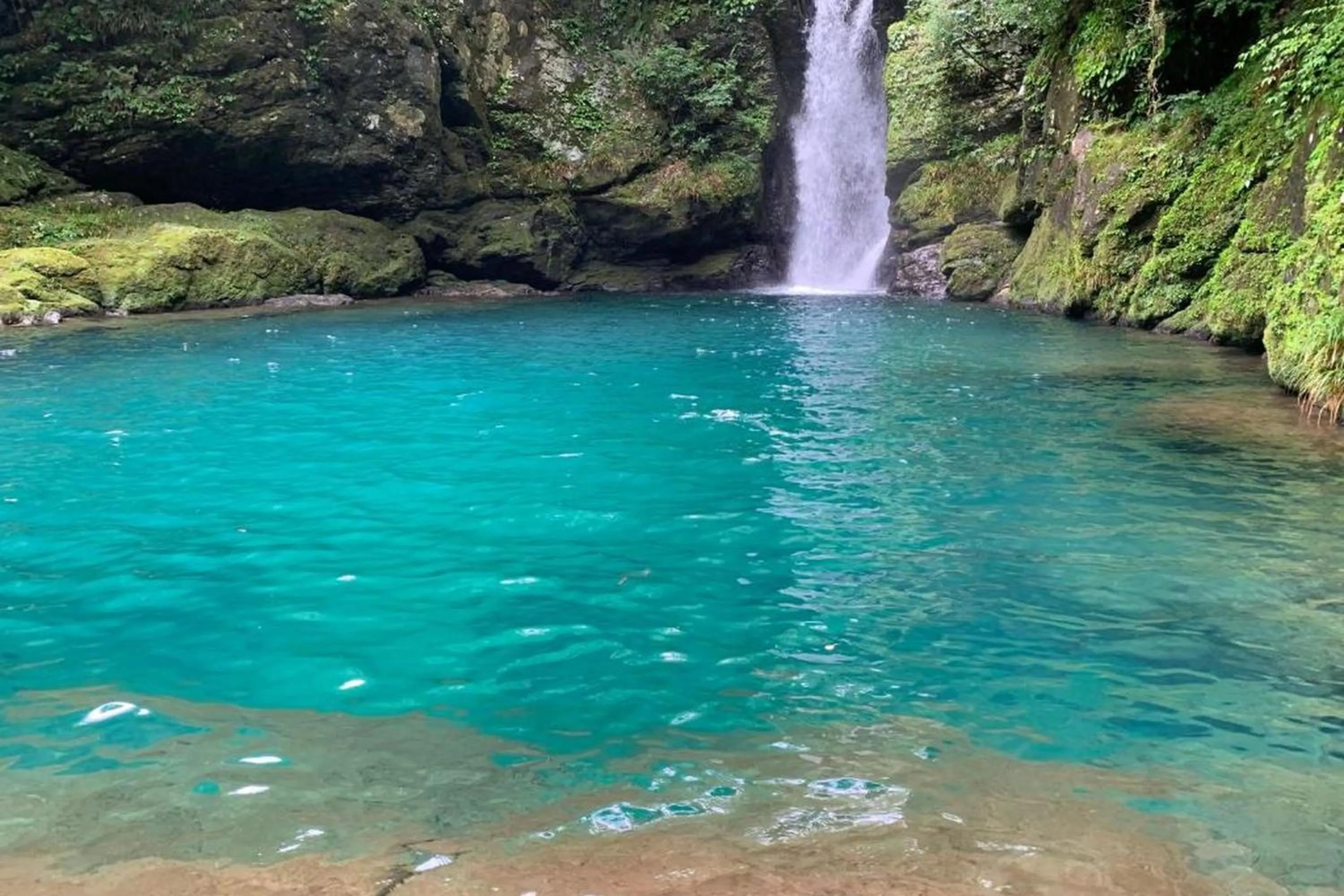 Nearby landmark in KAMENOI HOTEL Kochi