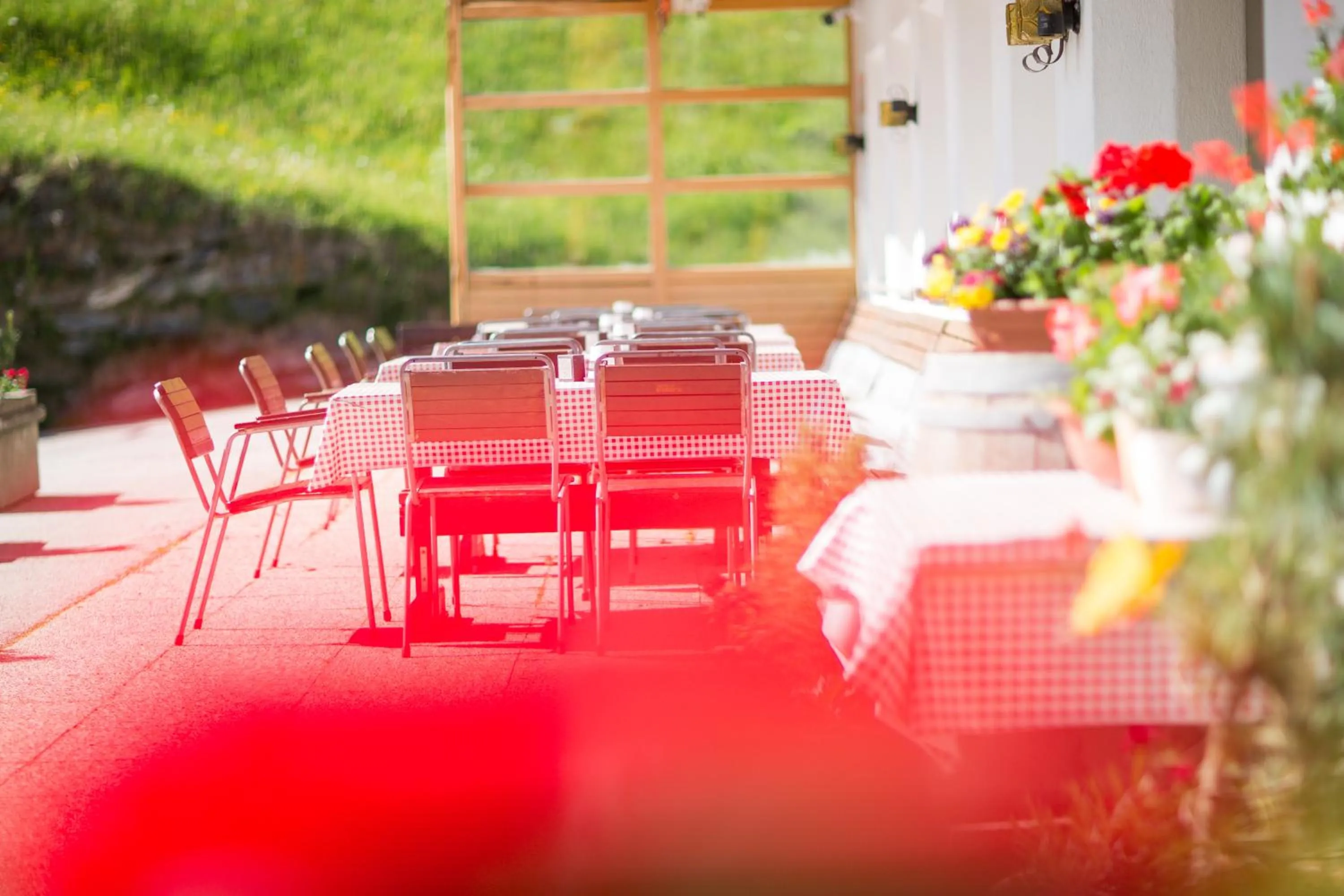 Balcony/Terrace in Pichlerhof