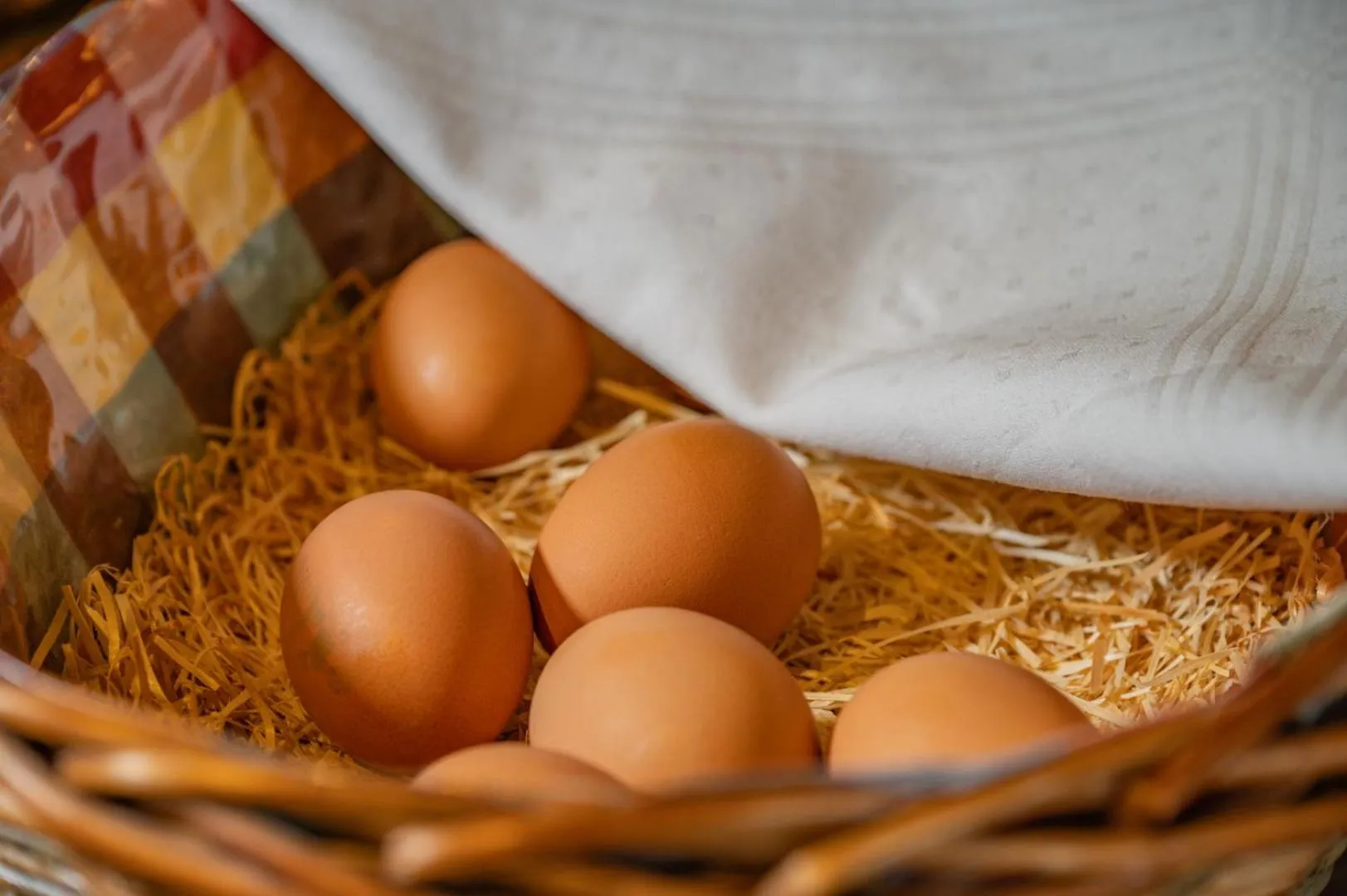 Buffet breakfast in Pichlerhof