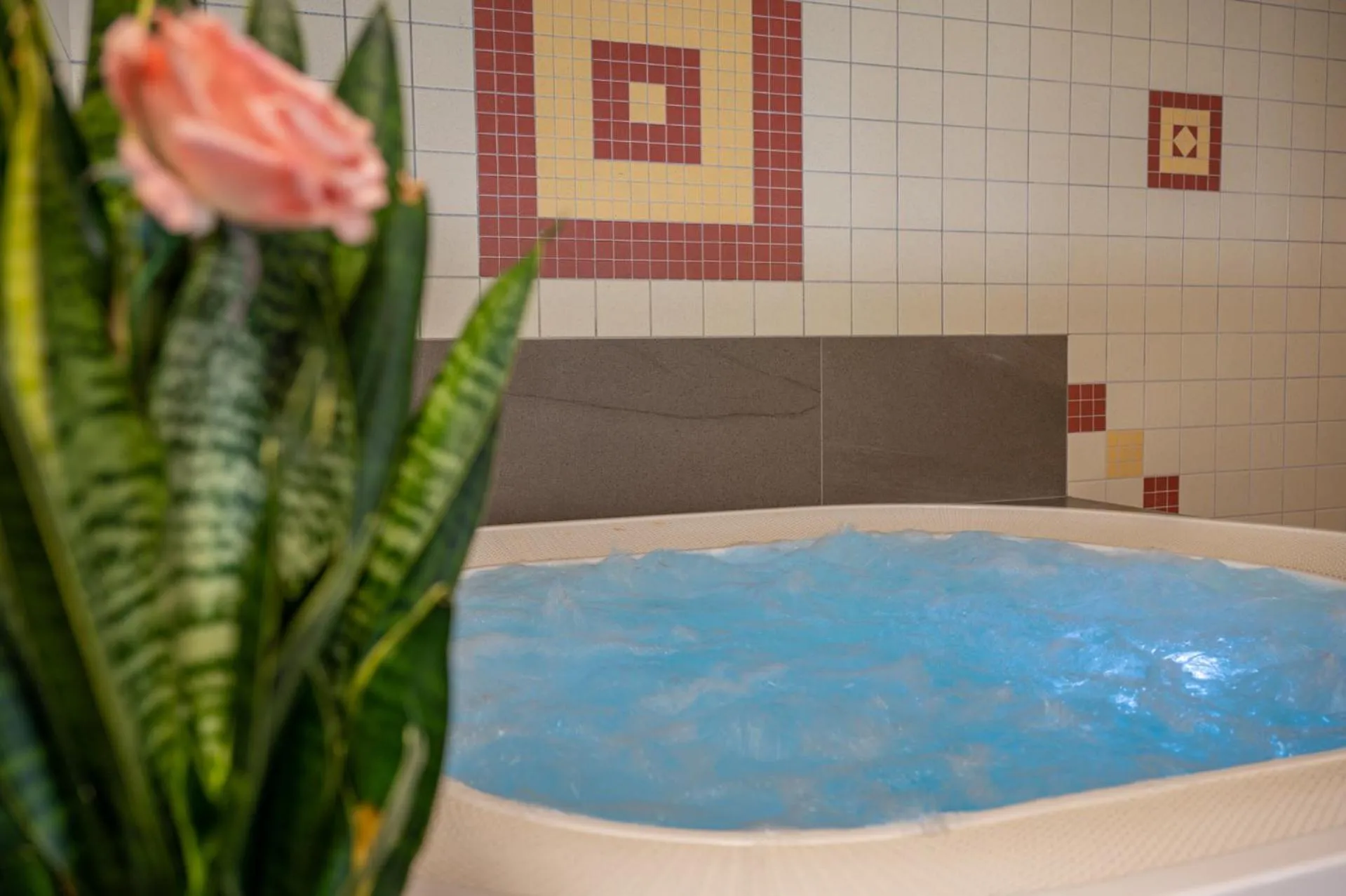 Spa and wellness centre/facilities in Pichlerhof