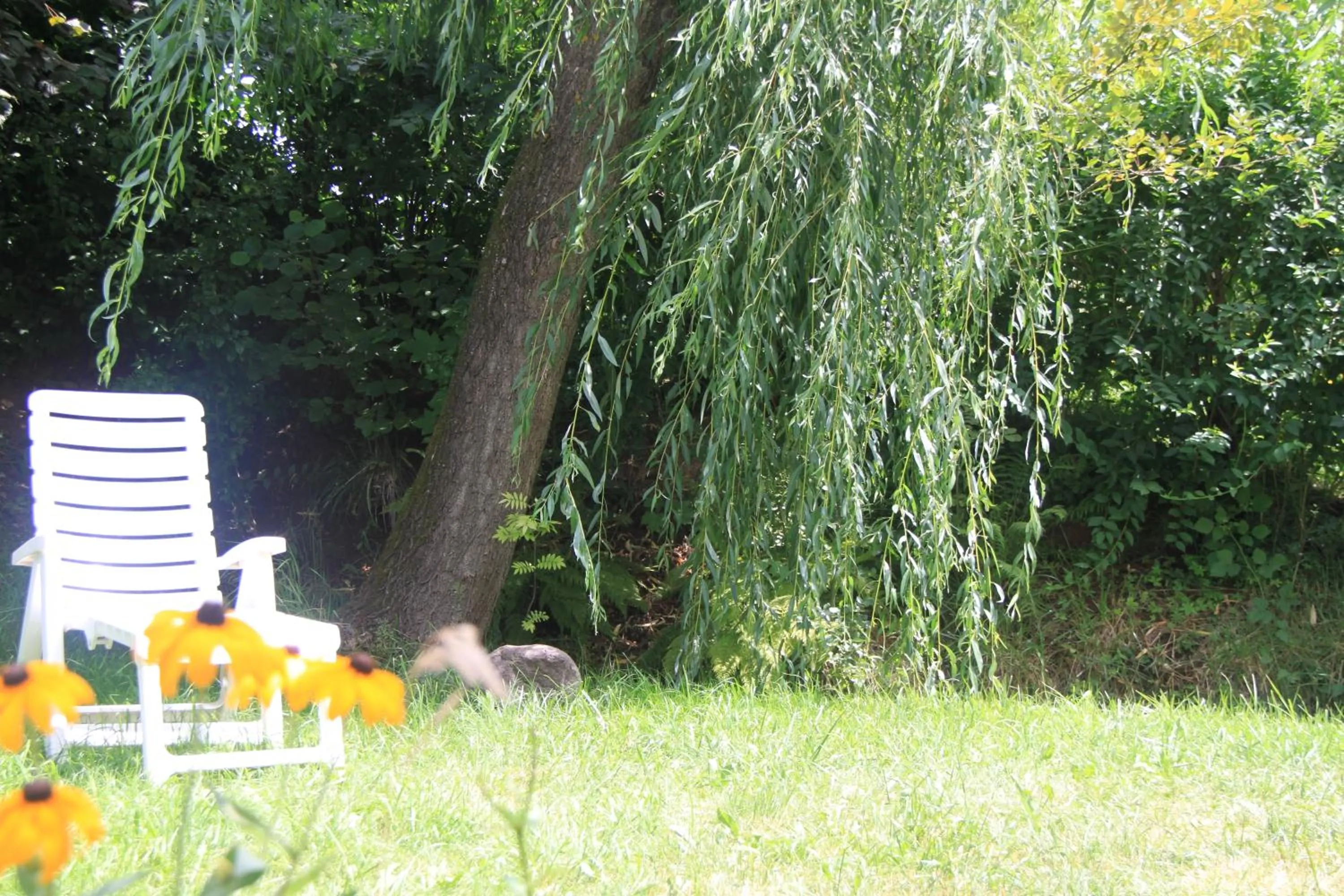 Day in Garnì Goccia d'Oro