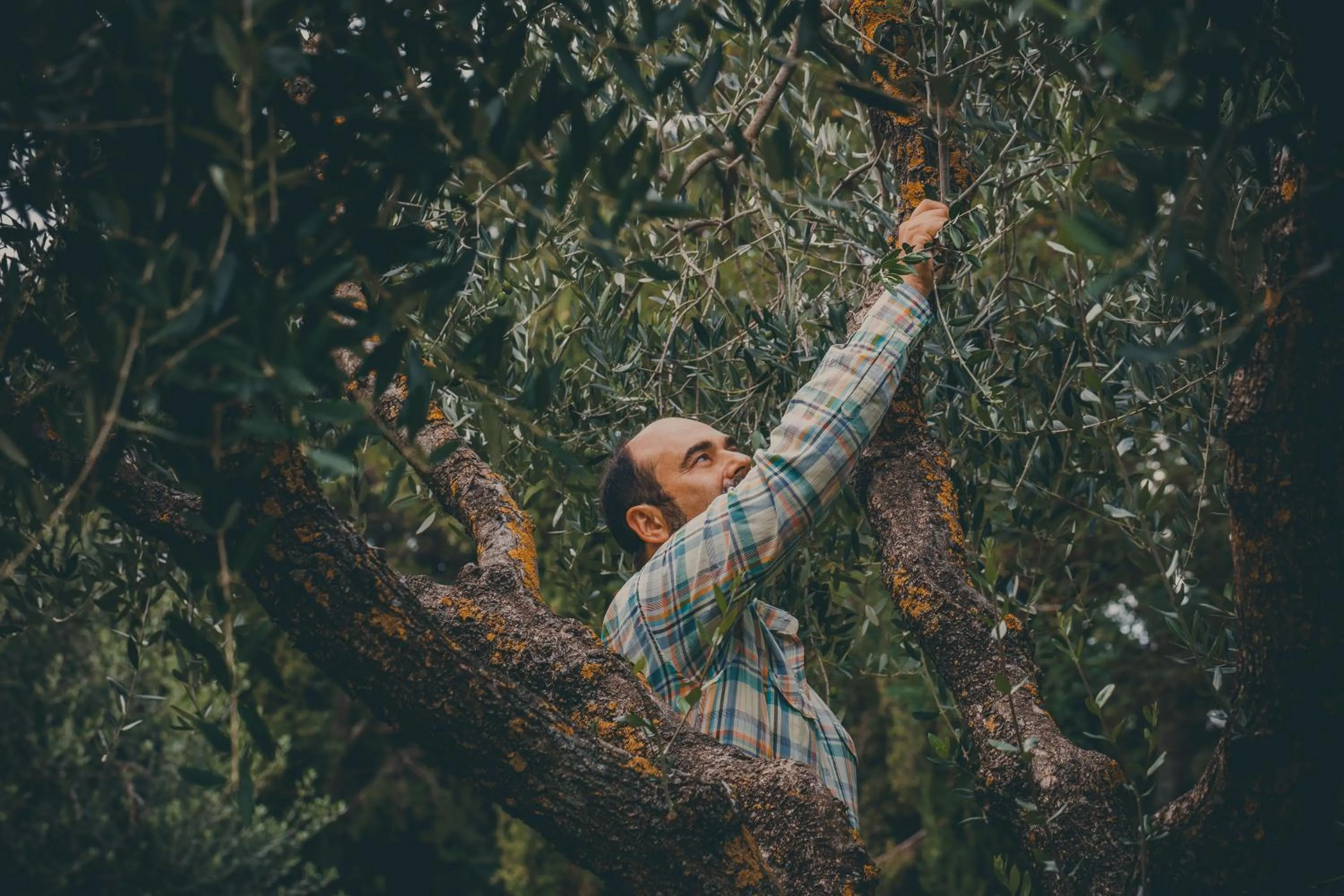 Family in Agriturismo Buonasera