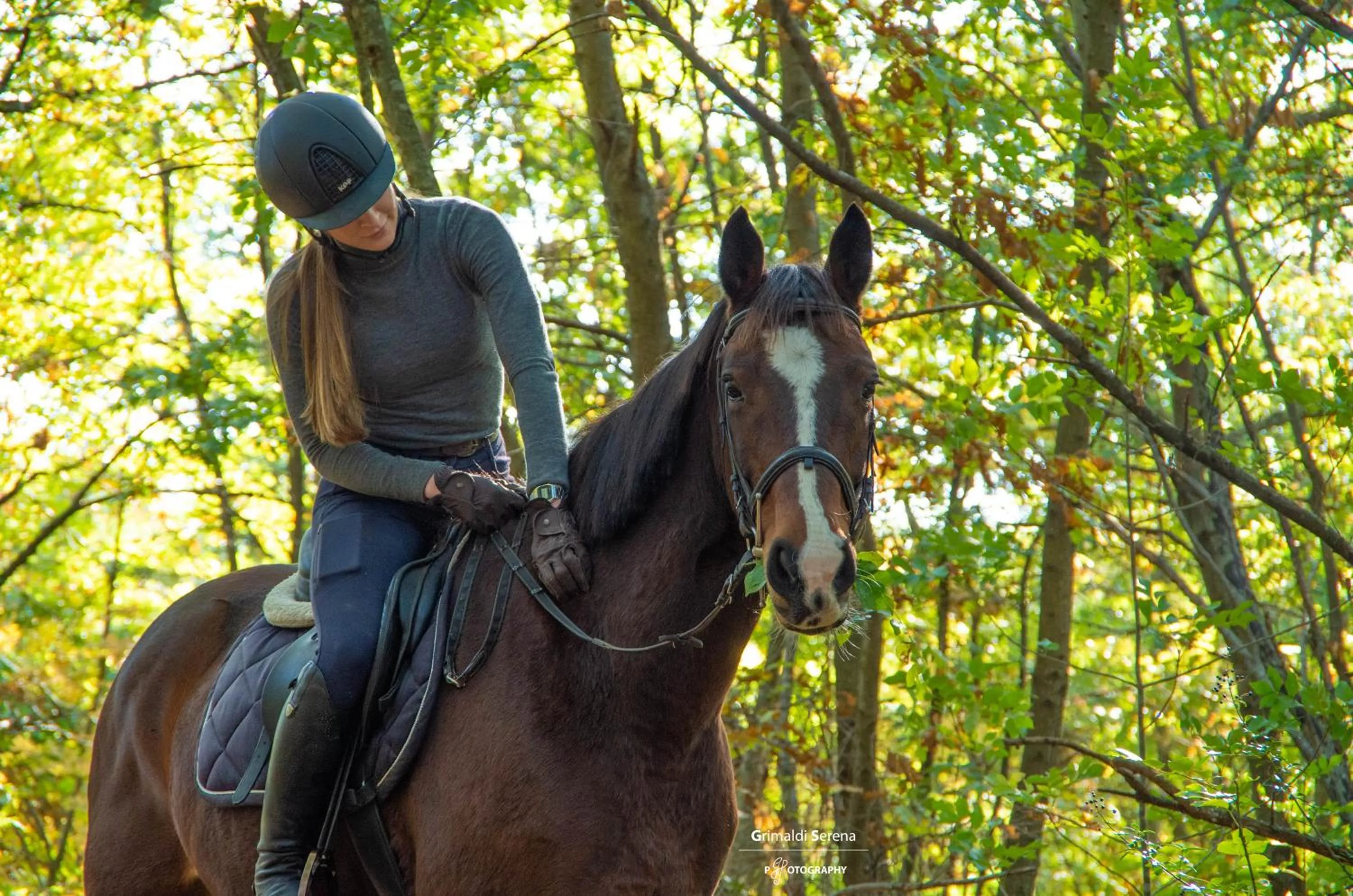 Horse-riding in Agriturismo Buonasera