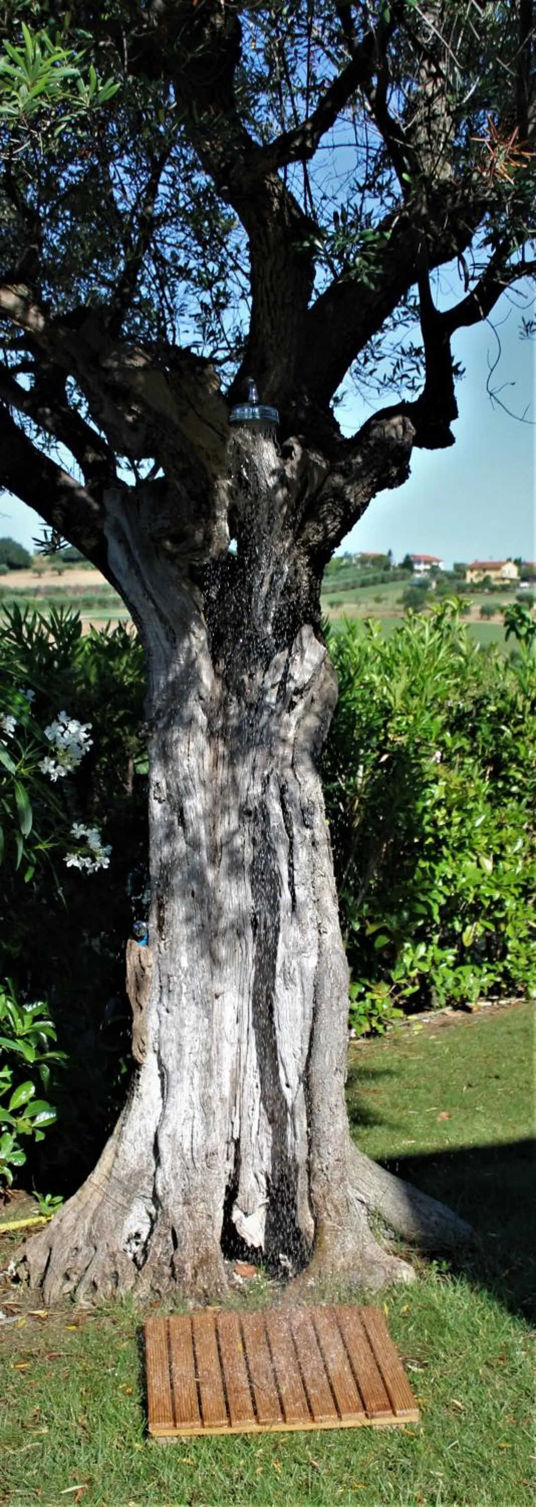 Decorative detail in Antigua B&B