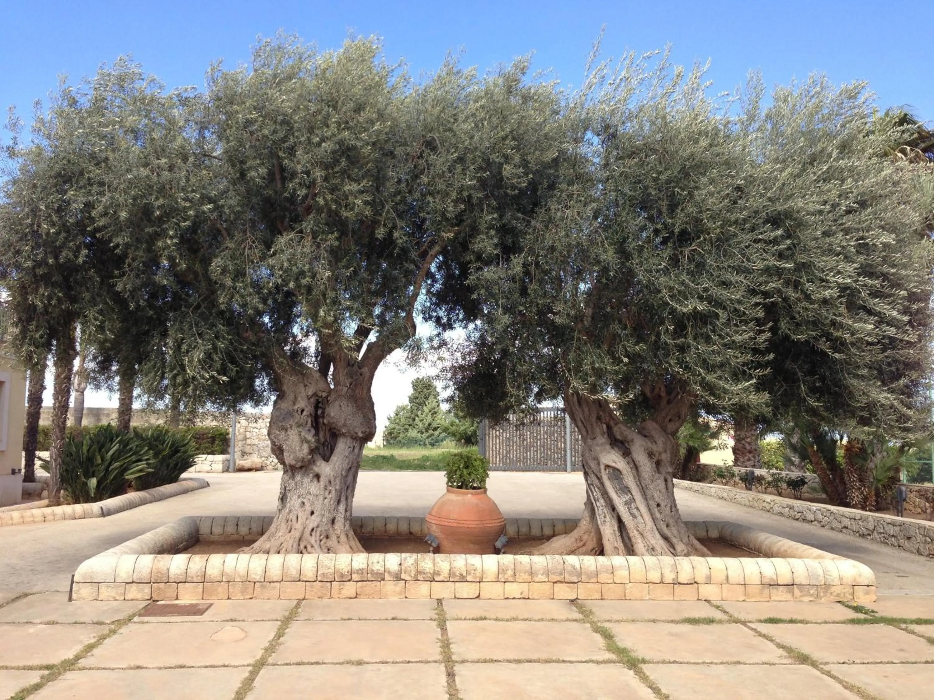Garden in Nuovo Castello Crisilio