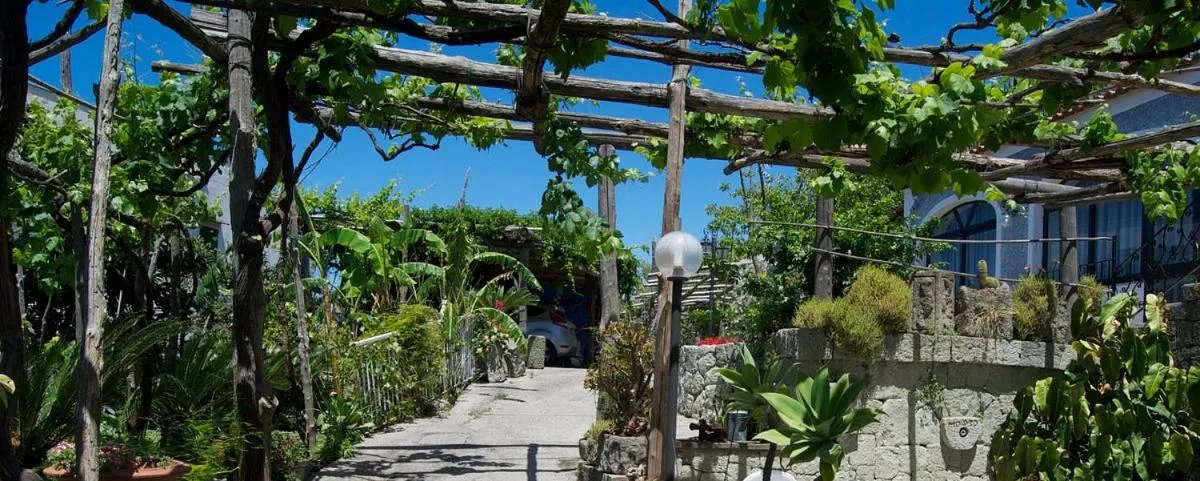 Garden in Hotel Villa Cimmentorosso