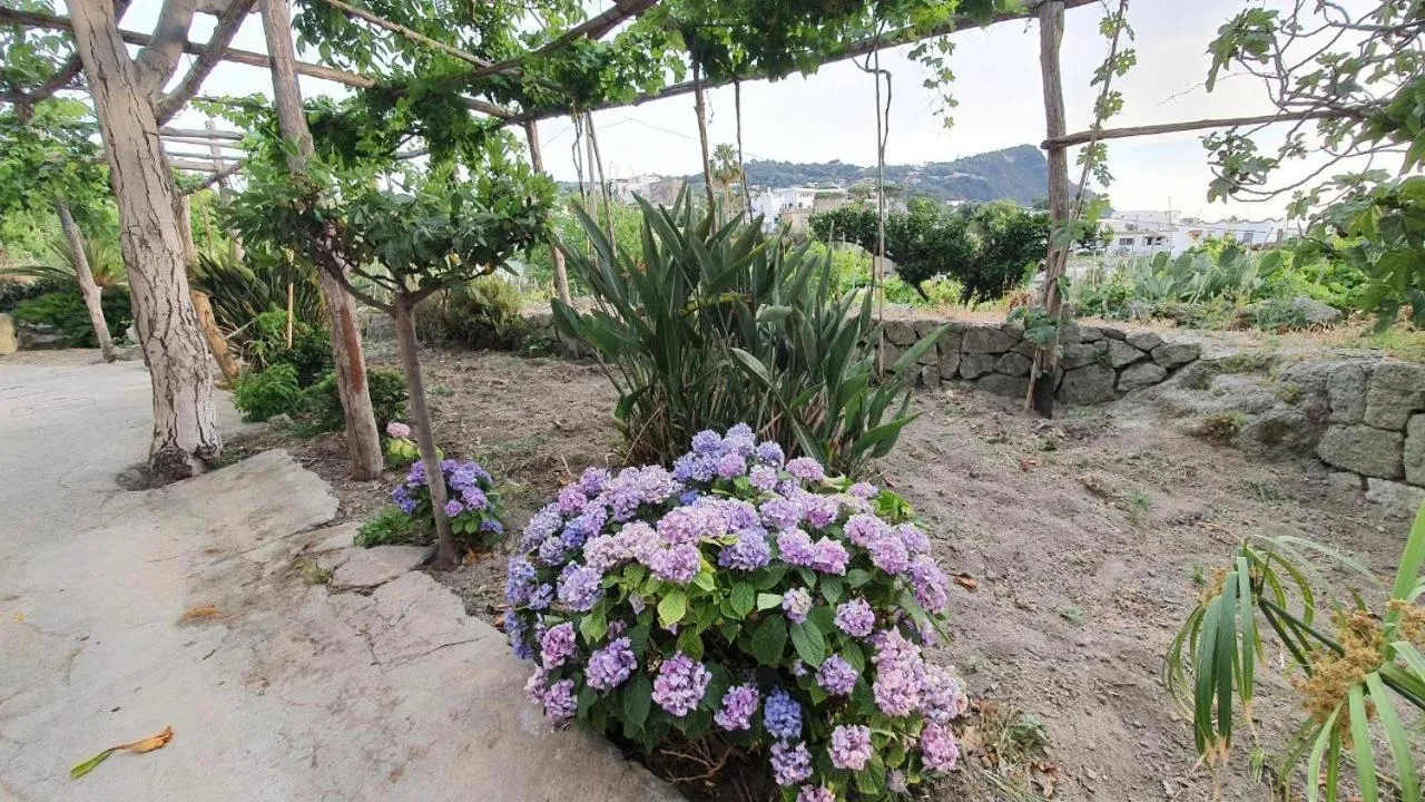 Hotel Villa Cimmentorosso