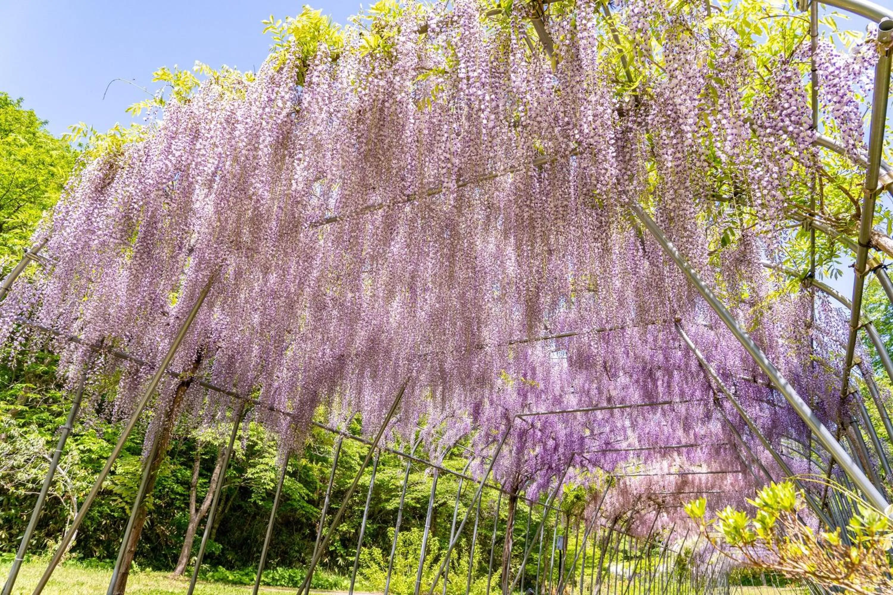 Nearby landmark in KAMENOI HOTEL Ichinoseki