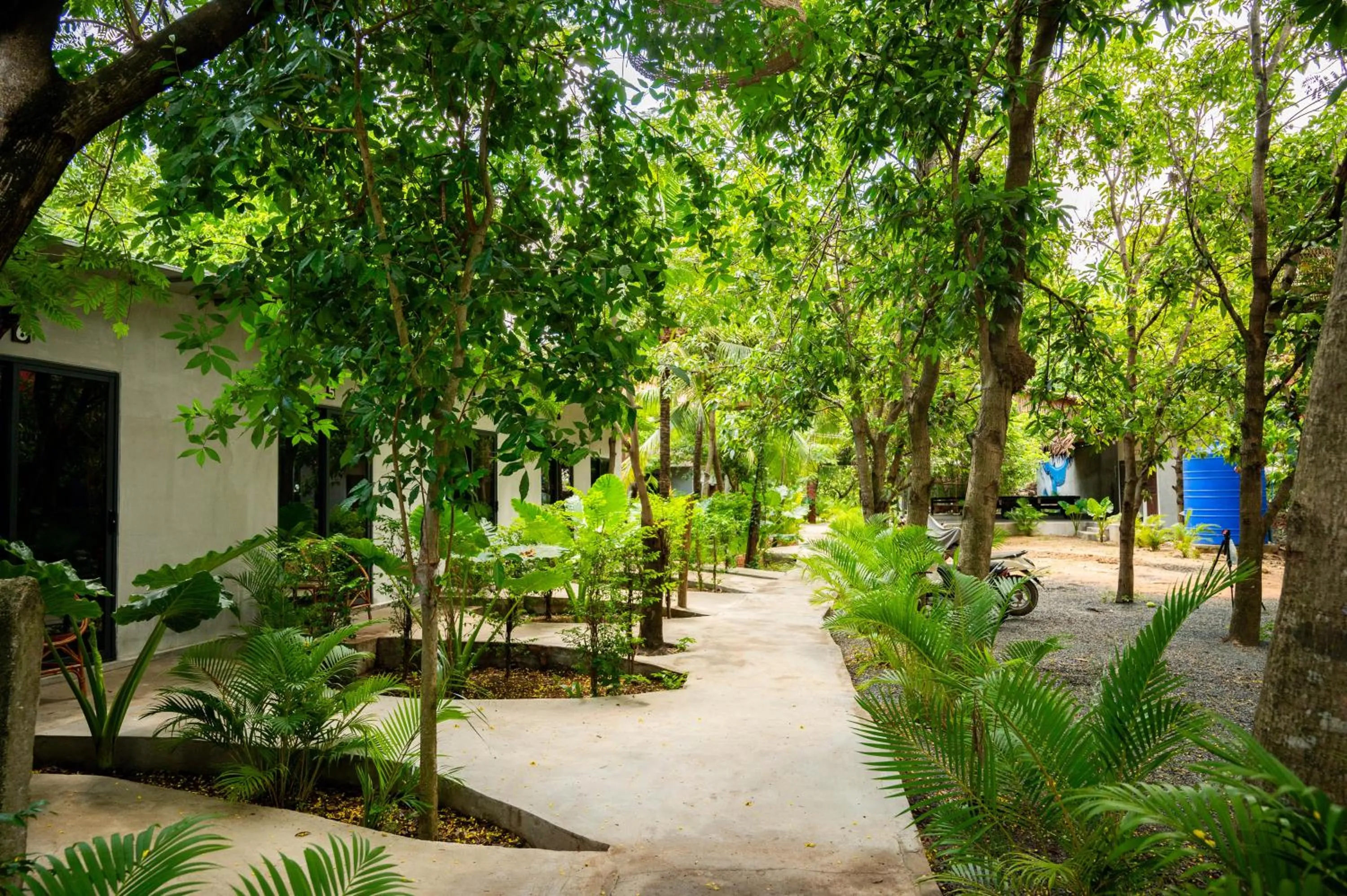 Natural landscape in River Nest Hostel