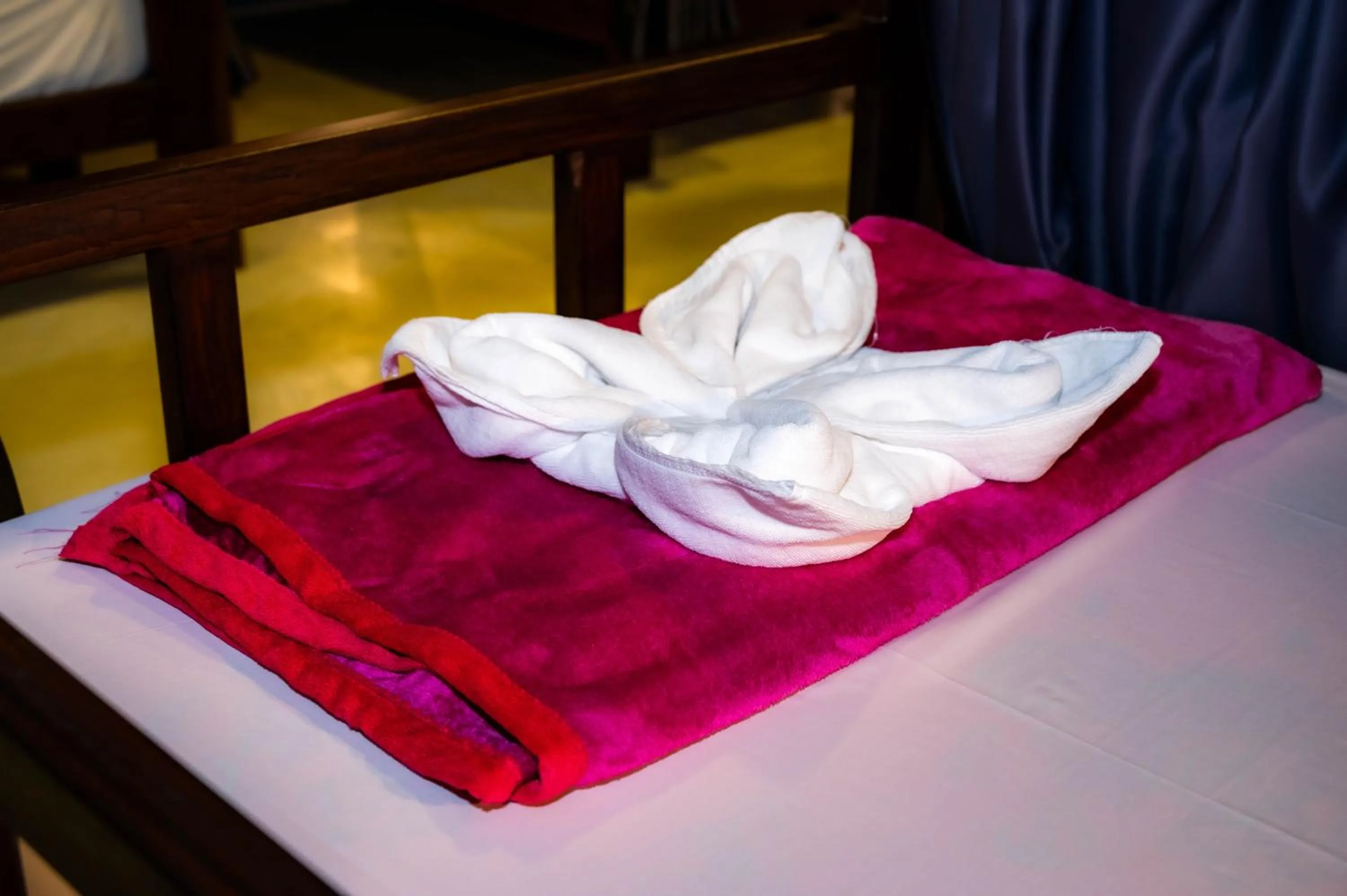 bunk bed in River Nest Hostel