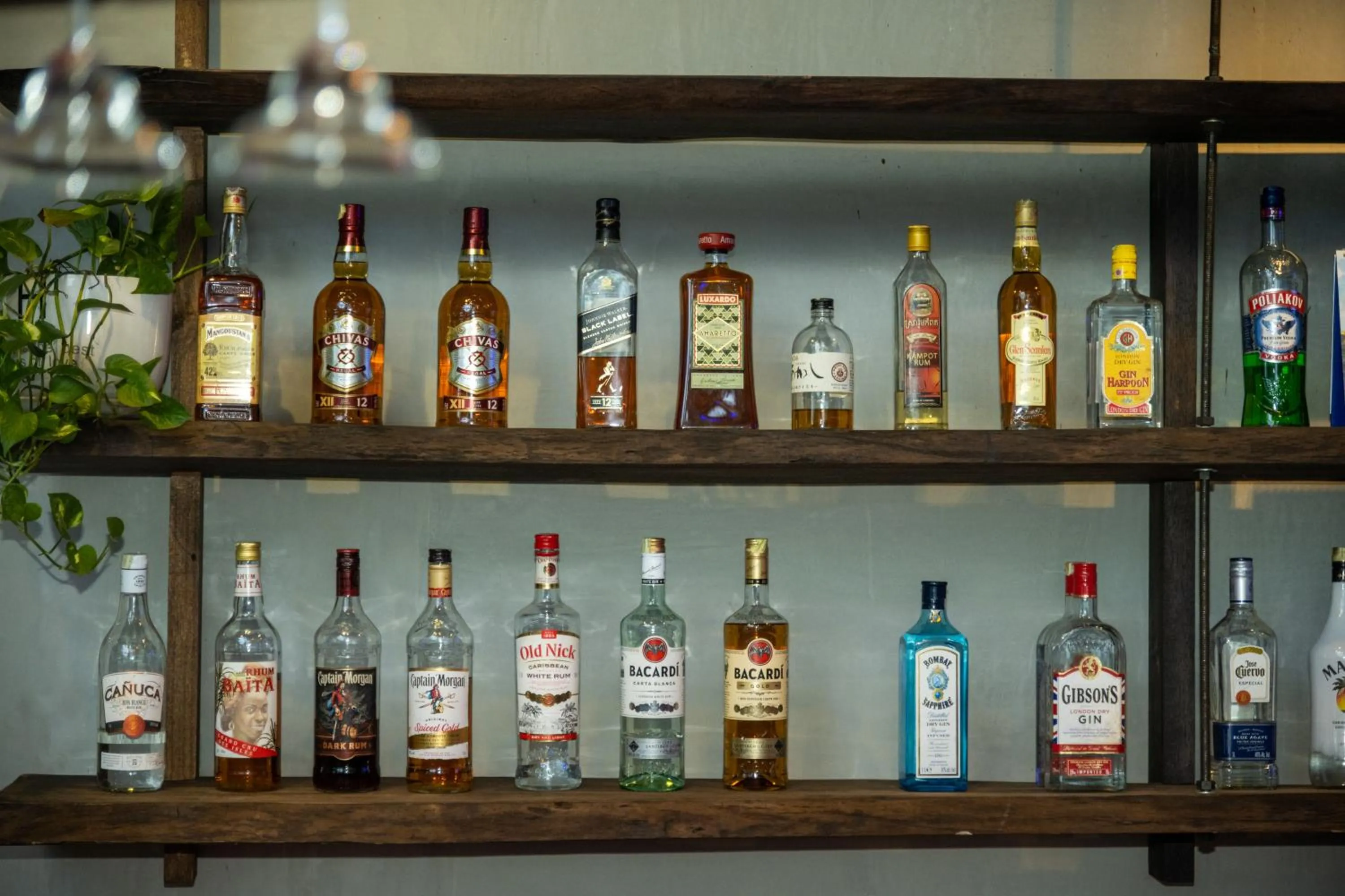 Lounge or bar in River Nest Hostel