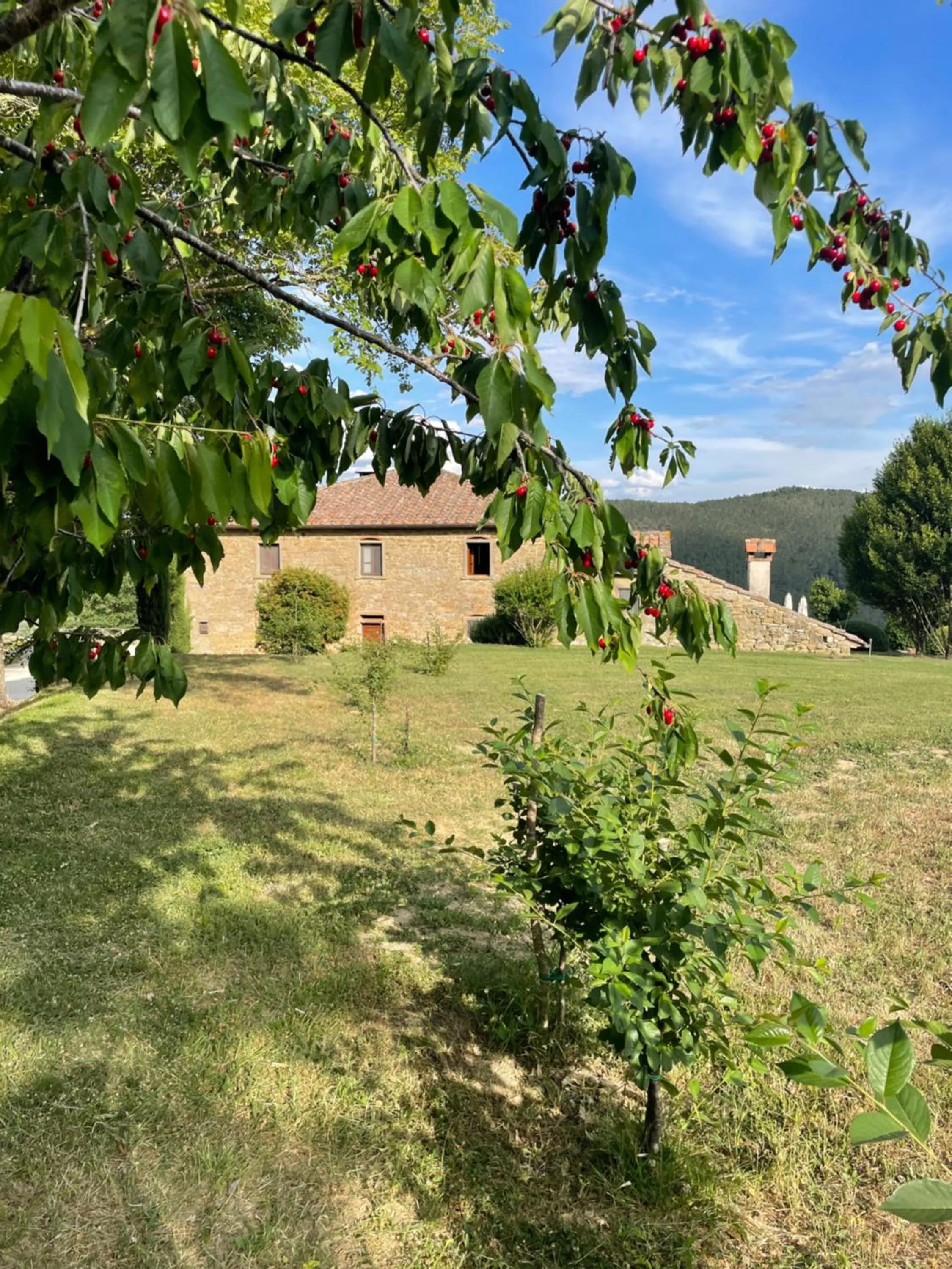 Property building in Locanda Del Viandante B&B