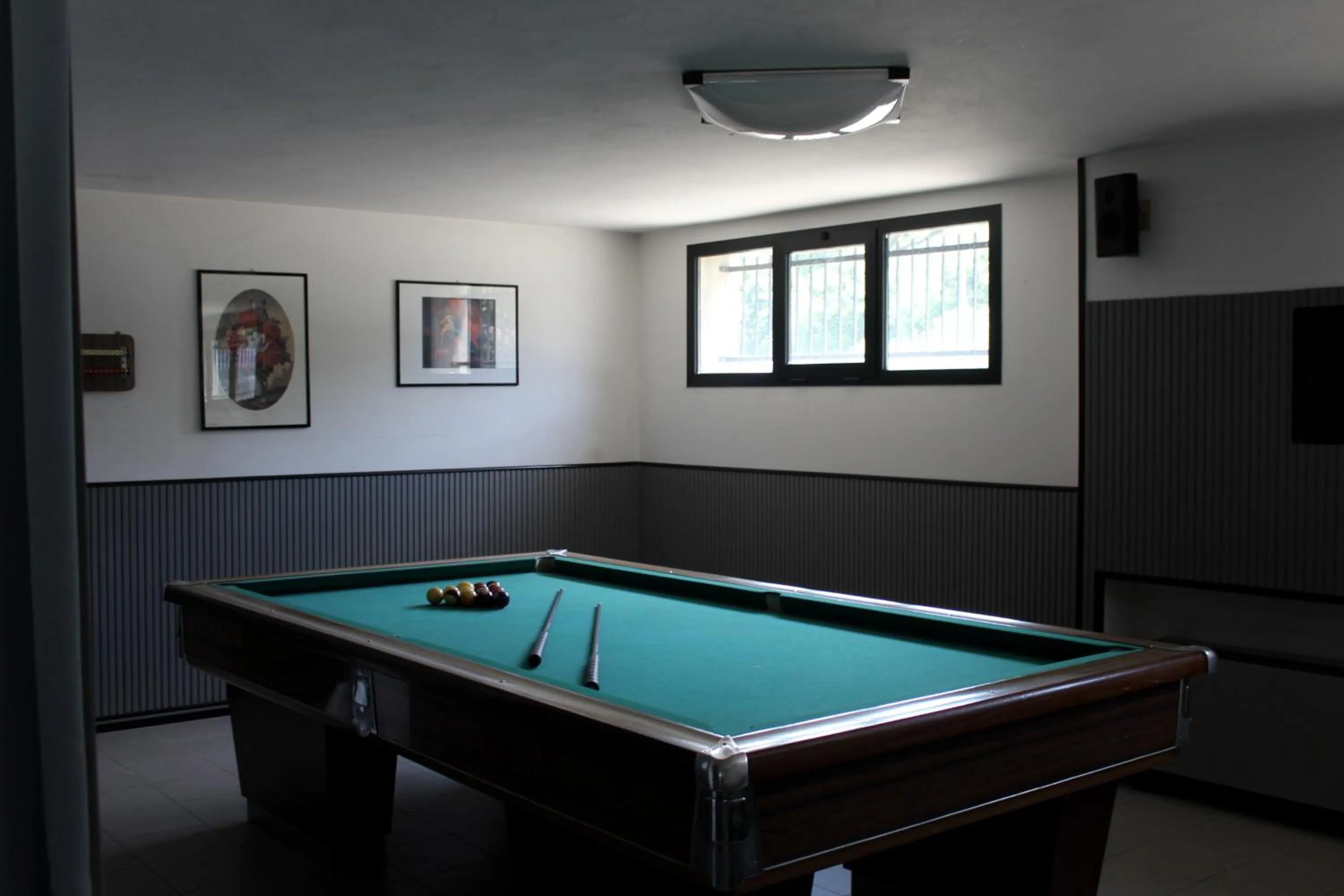 Billiard in Park Hotel