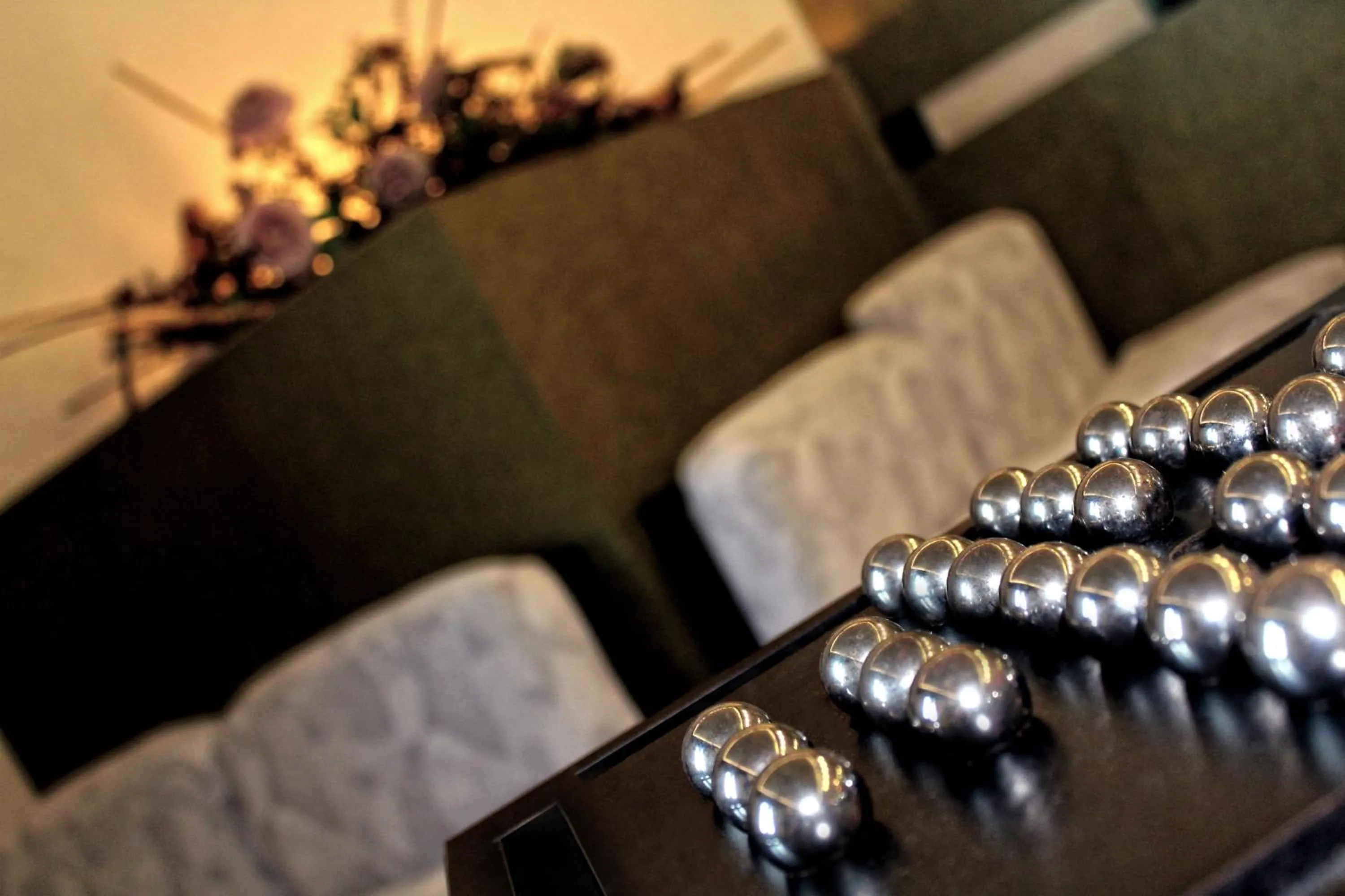 Entertainment in Park Hotel