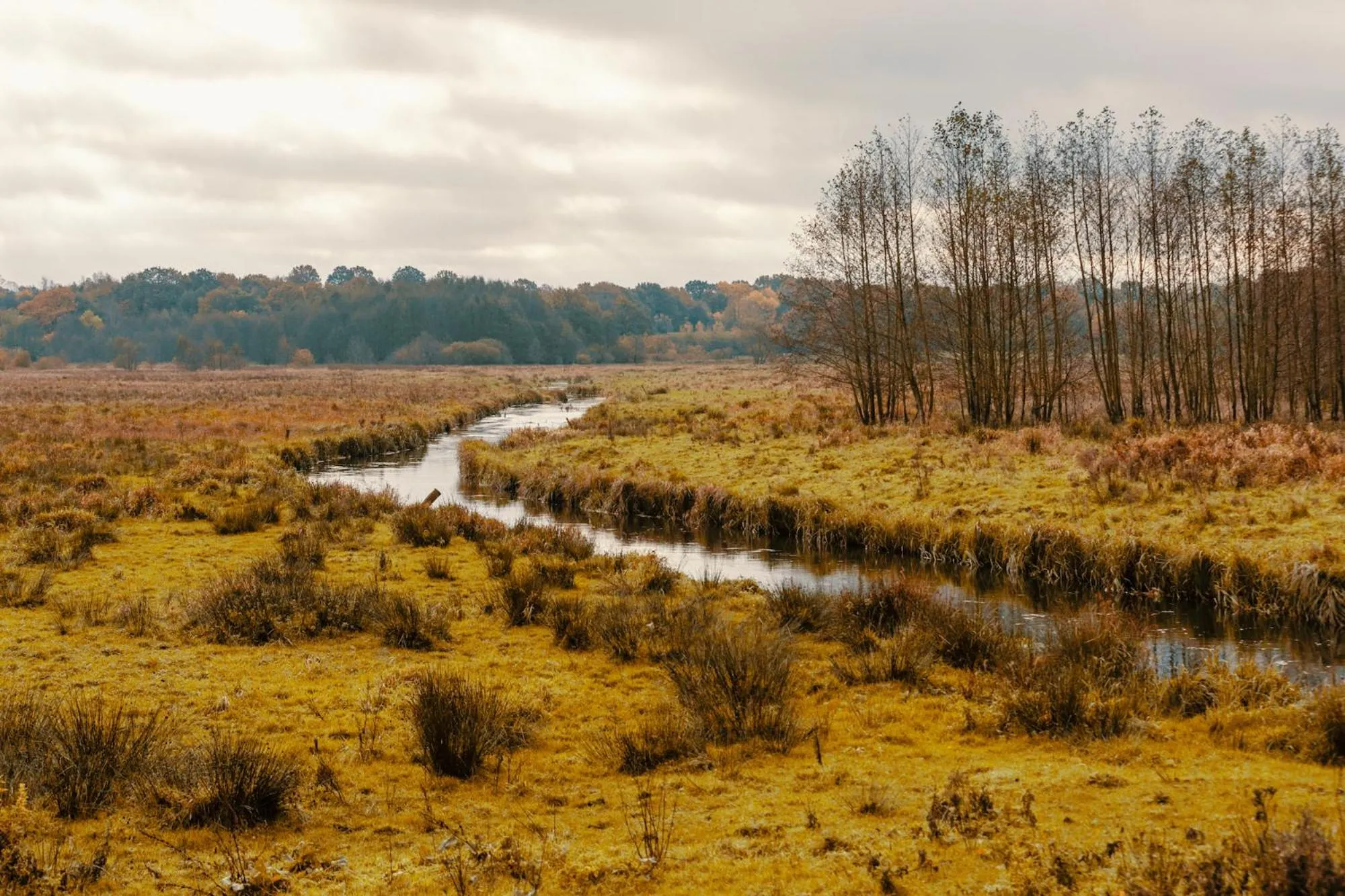 Off site in Antik-Hof Bissee