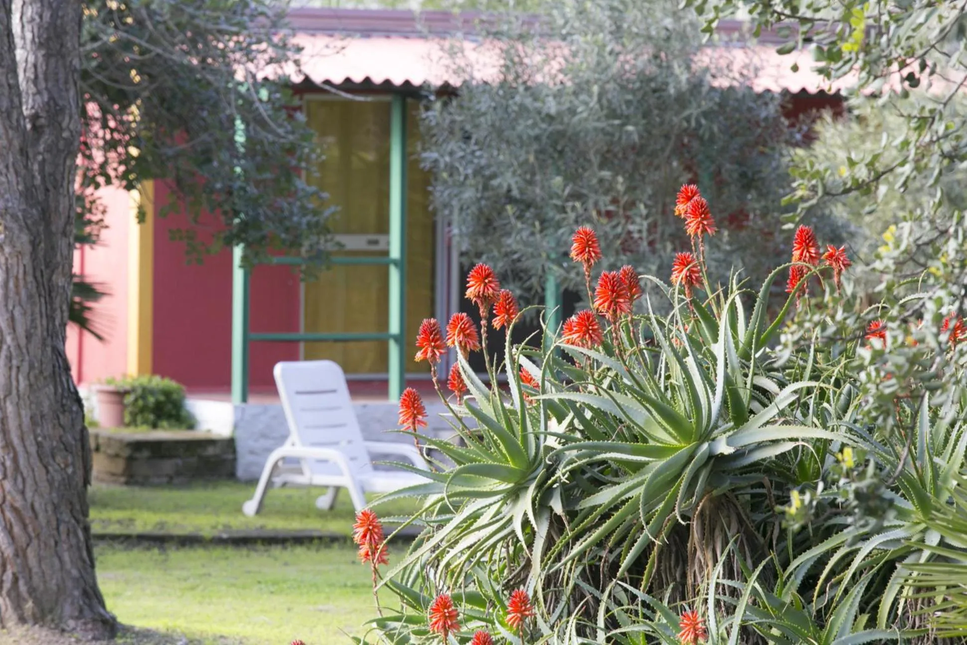 Facade/entrance in Residence Sa Pintadera