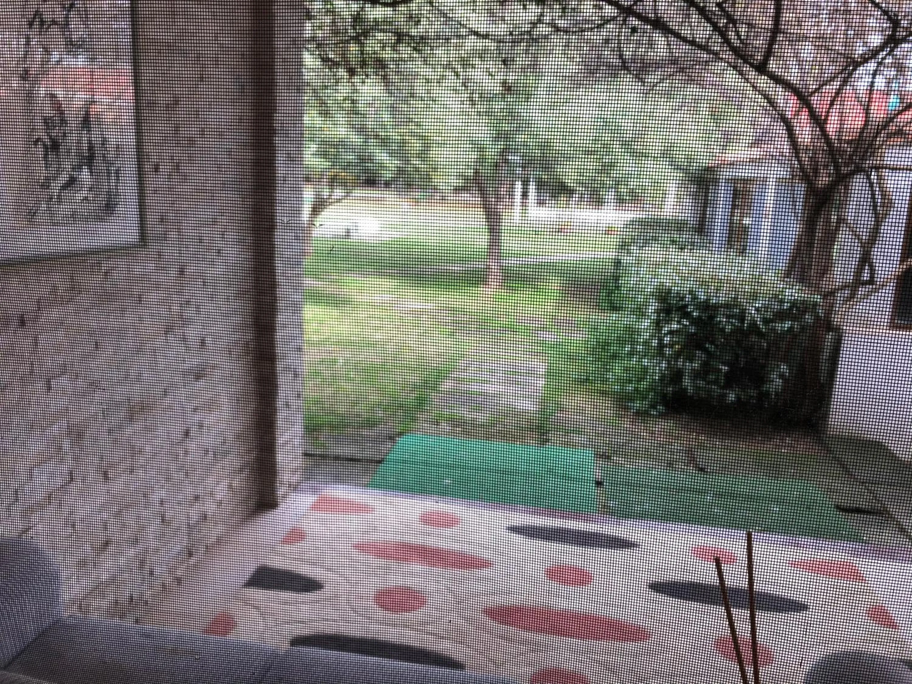 Garden view in Residence Sa Pintadera