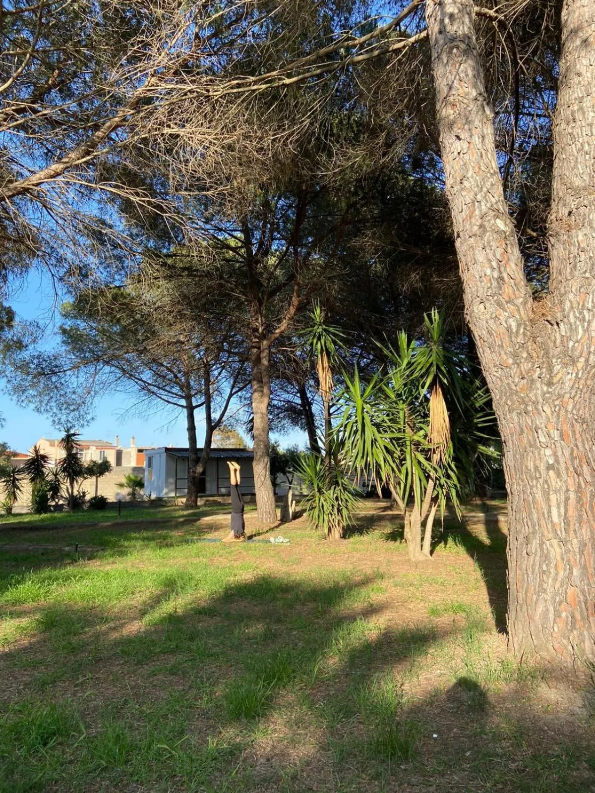 Garden in Residence Sa Pintadera