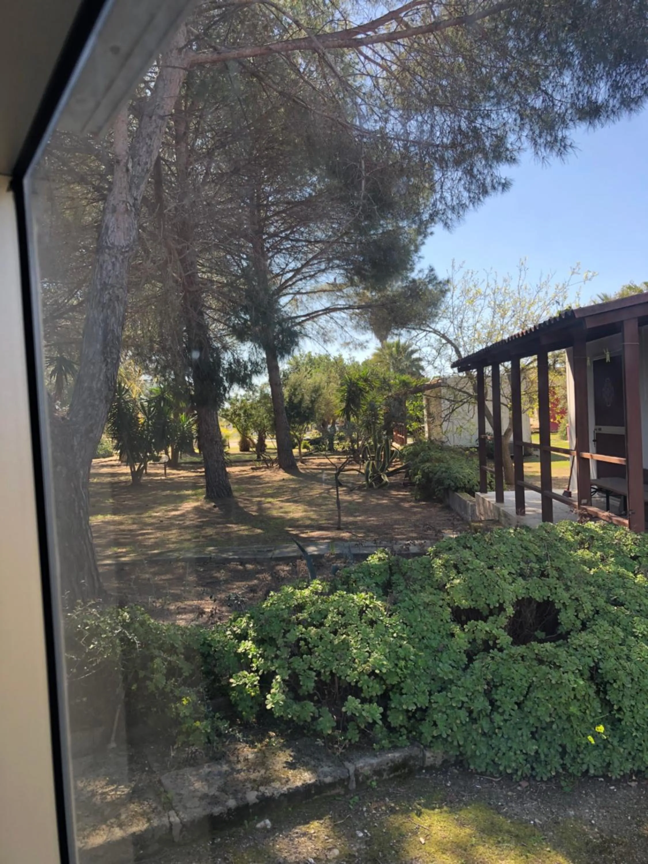 Garden in Residence Sa Pintadera