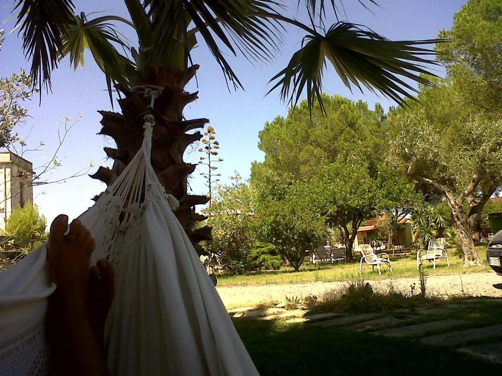 Garden in Residence Sa Pintadera