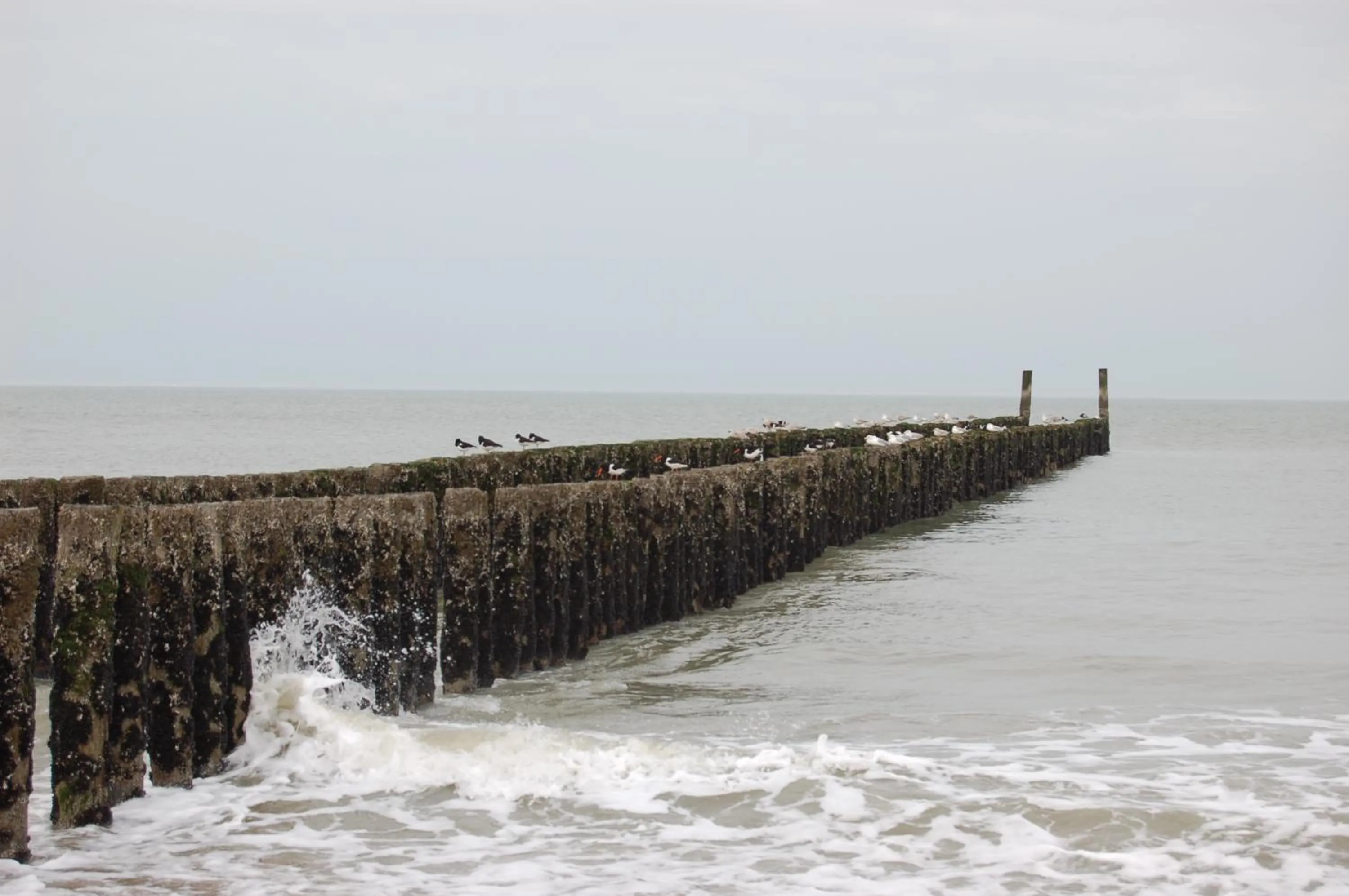 Beach in B&B Onder de Molen