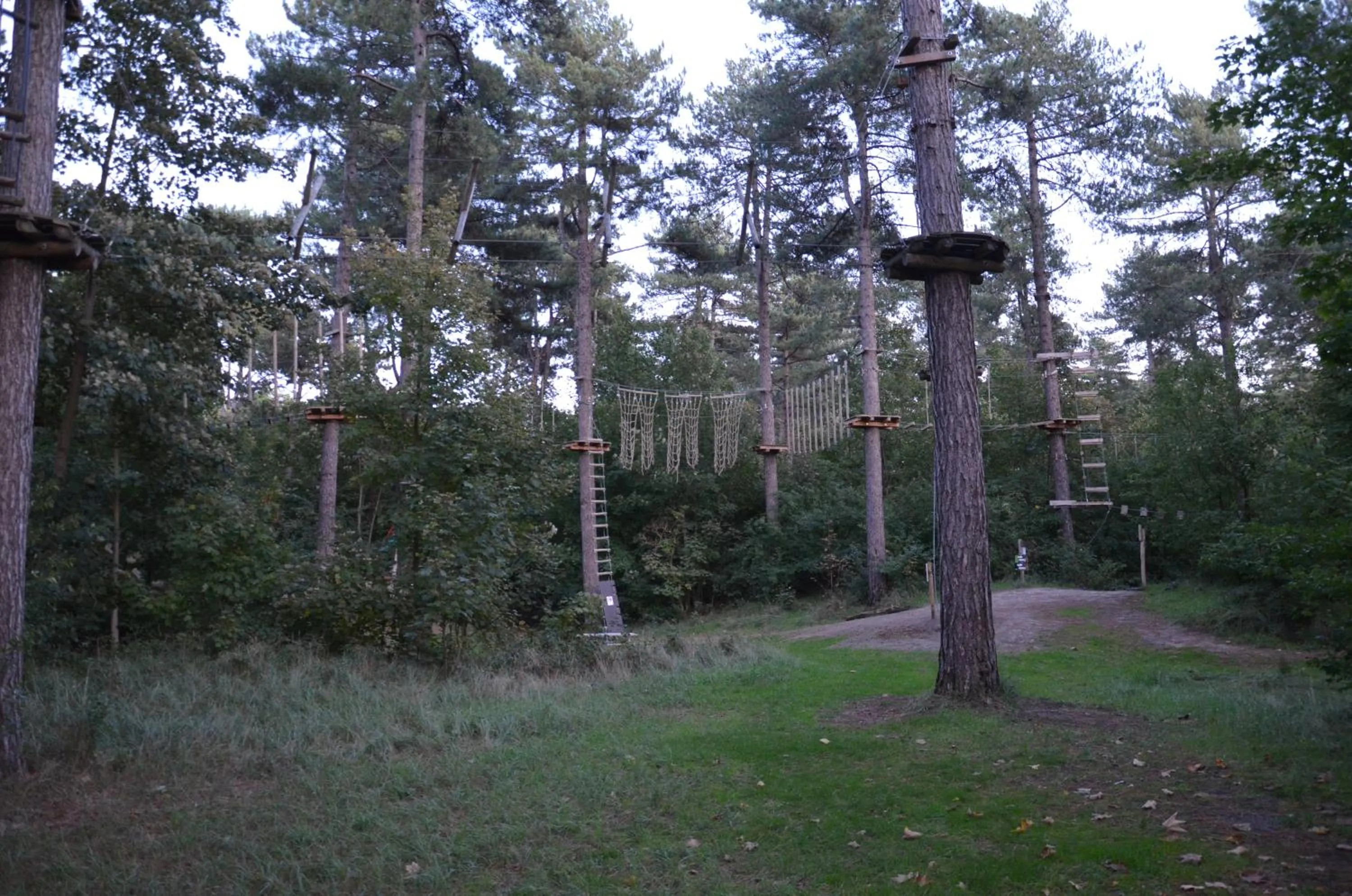 Activities in B&B Onder de Molen