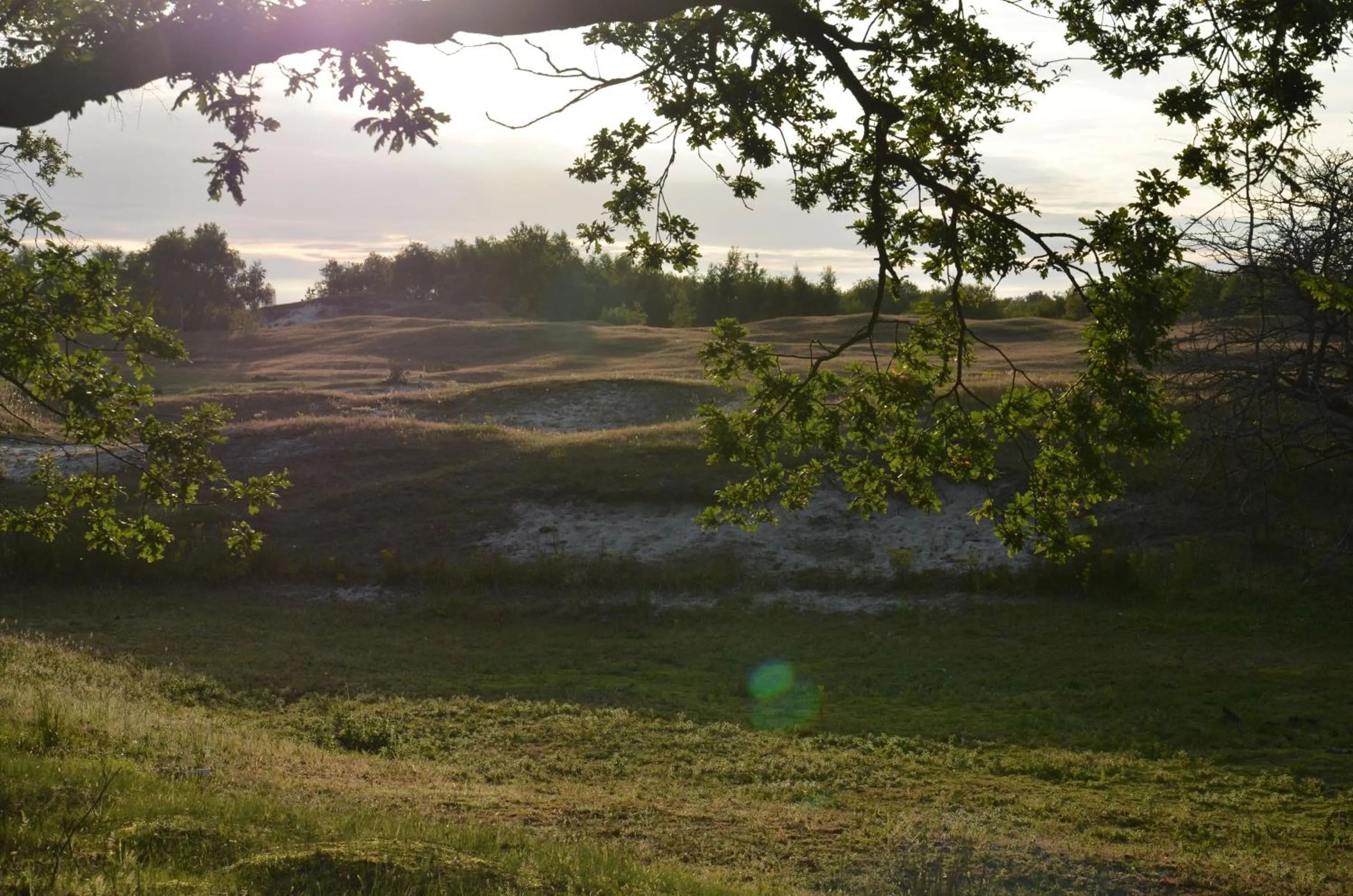 Natural landscape in B&B Onder de Molen
