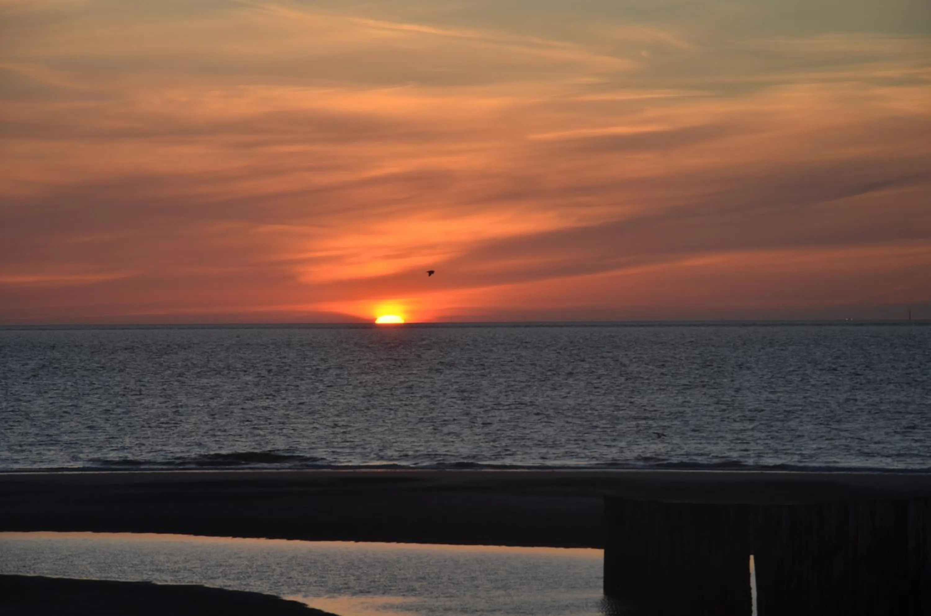 Natural landscape in B&B Onder de Molen
