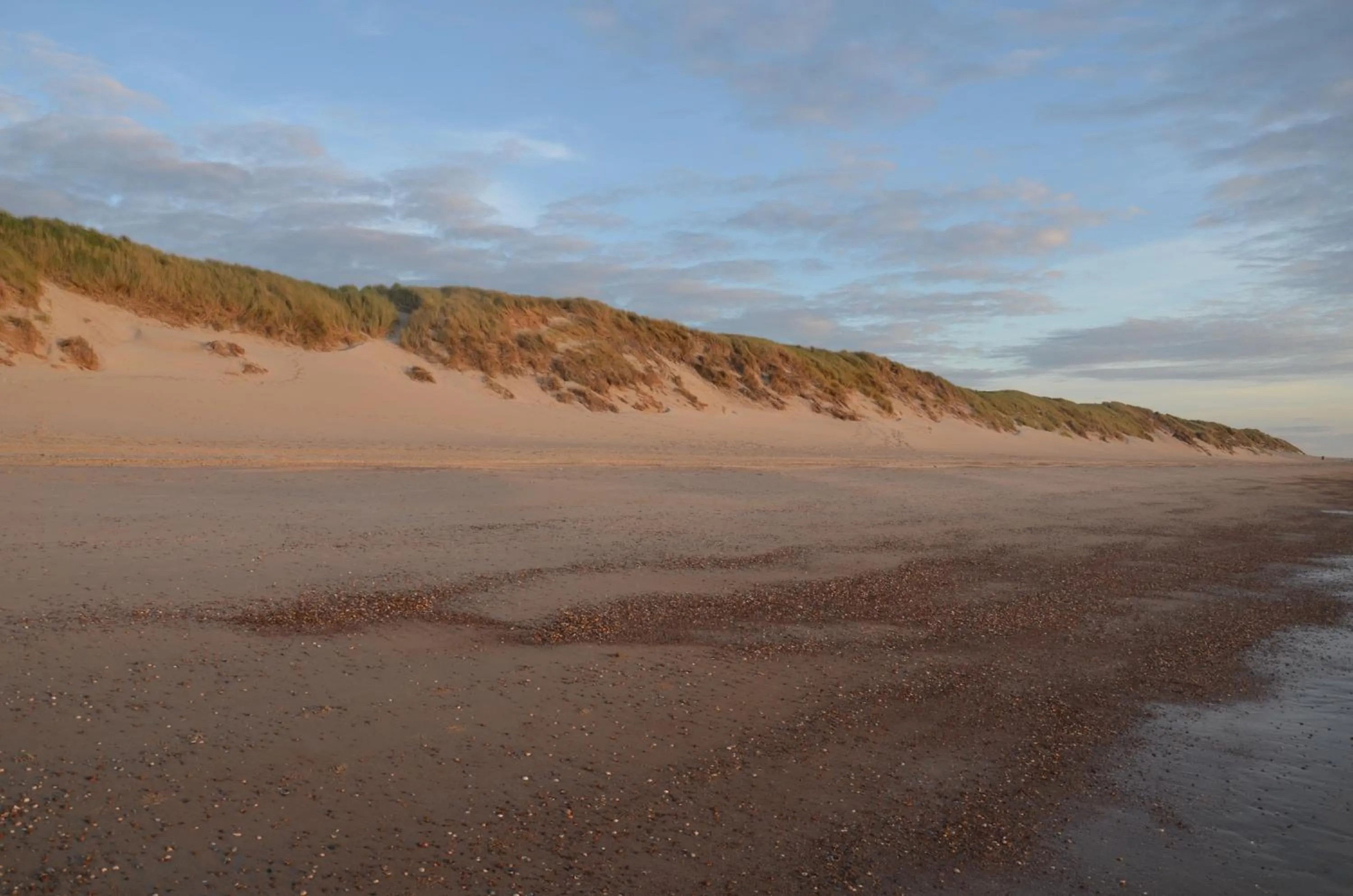 Natural landscape in B&B Onder de Molen
