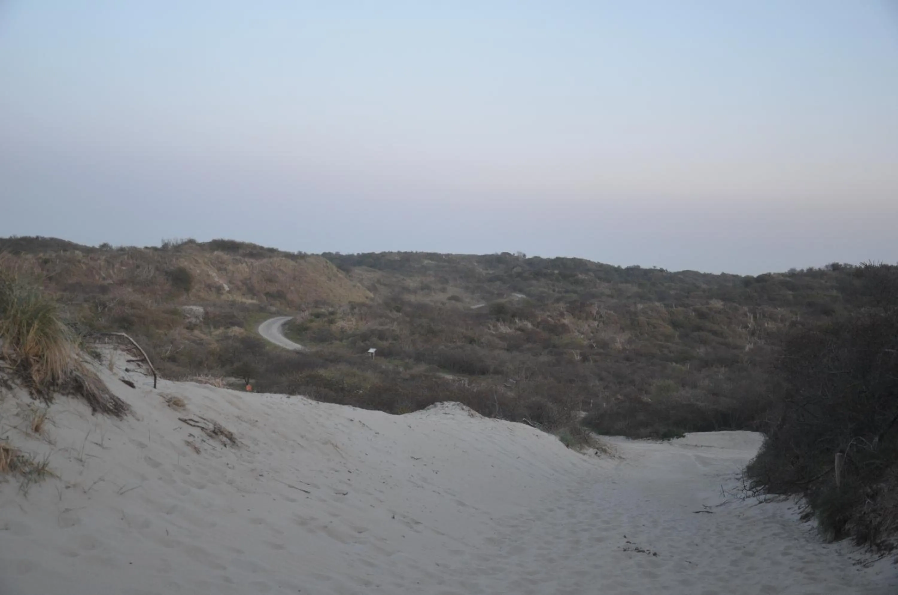 Natural landscape in B&B Onder de Molen