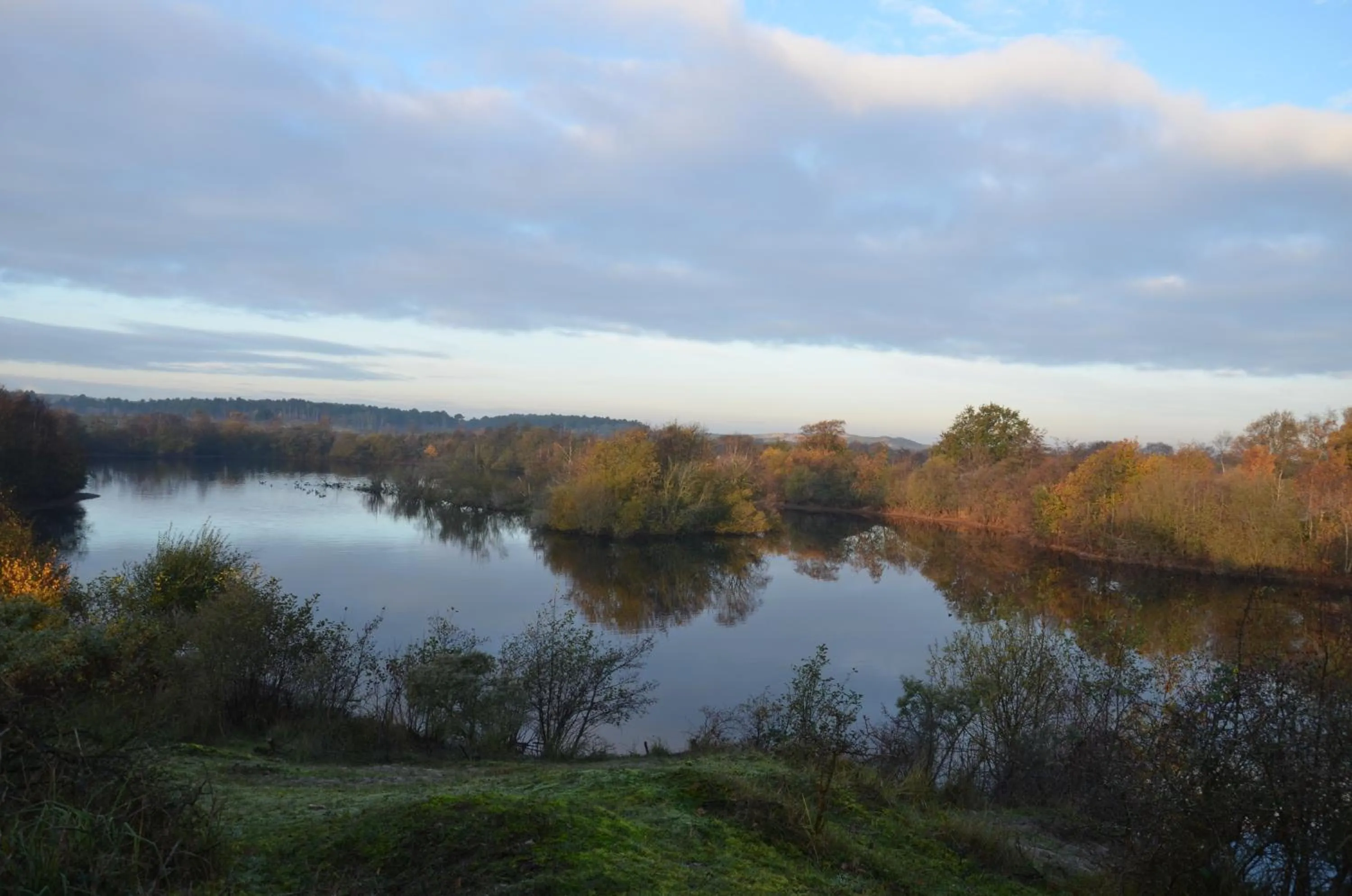 Natural landscape in B&B Onder de Molen