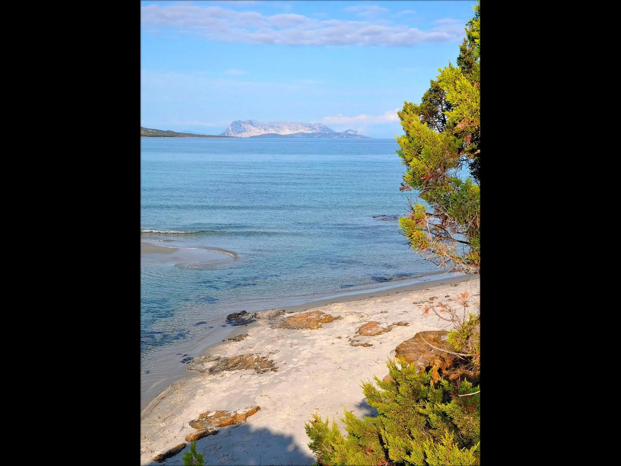 Area and facilities in Residenze Mare e Pineta