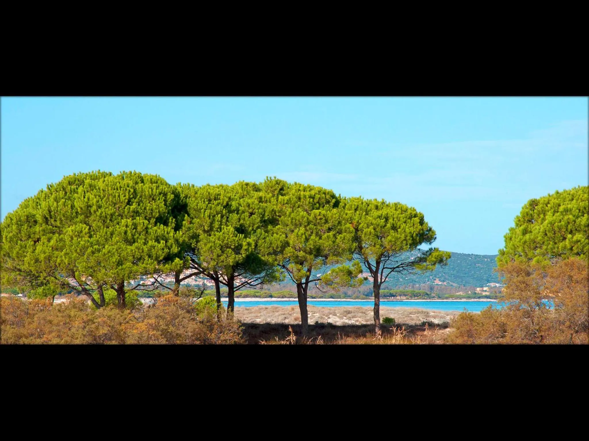 Natural landscape in Residenze Mare e Pineta