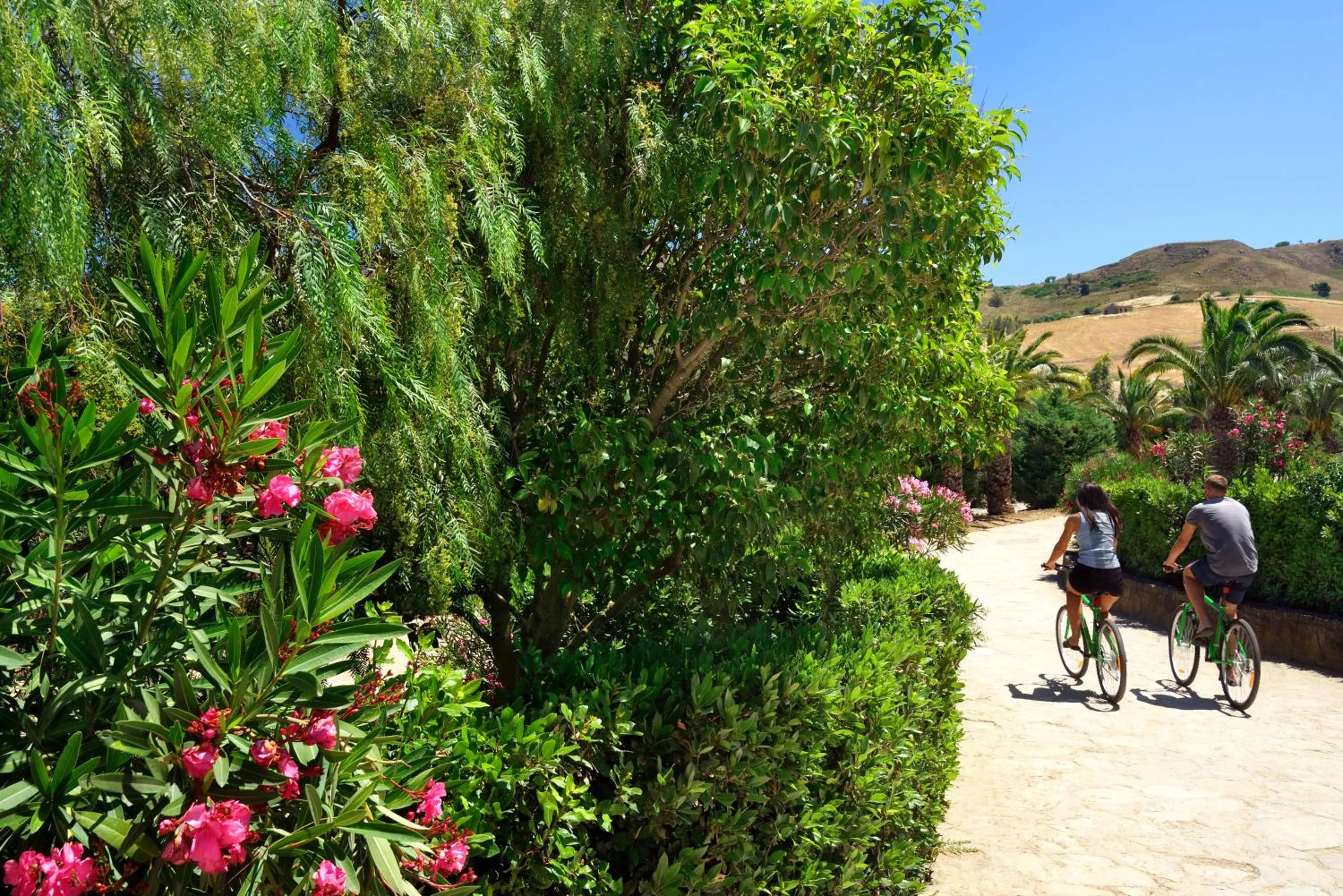 Garden in Villa Dafne