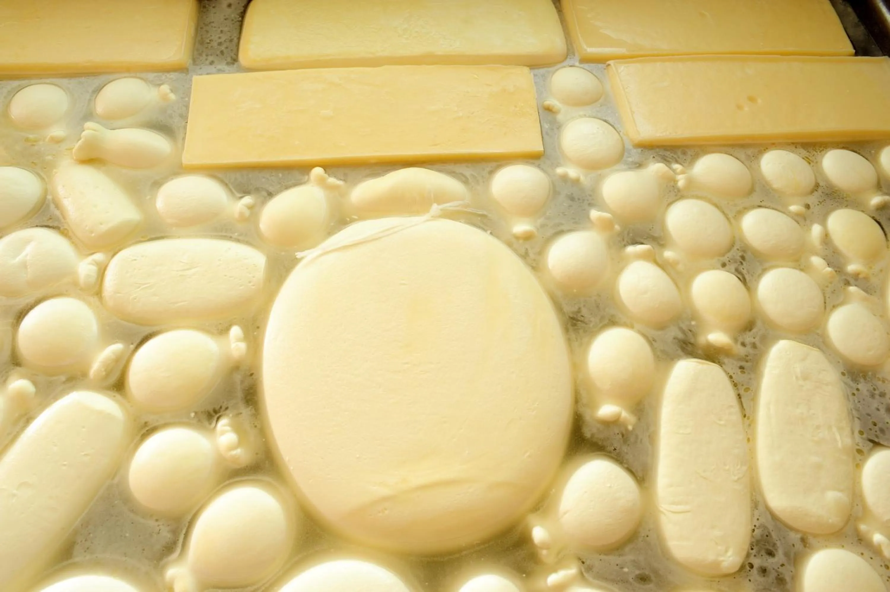 Activities in Villa Dafne