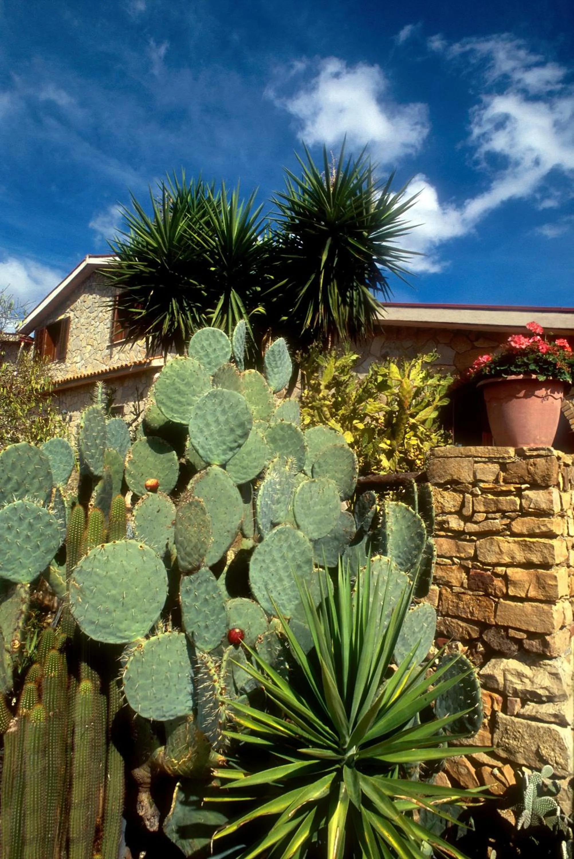 Facade/entrance in Villa Dafne