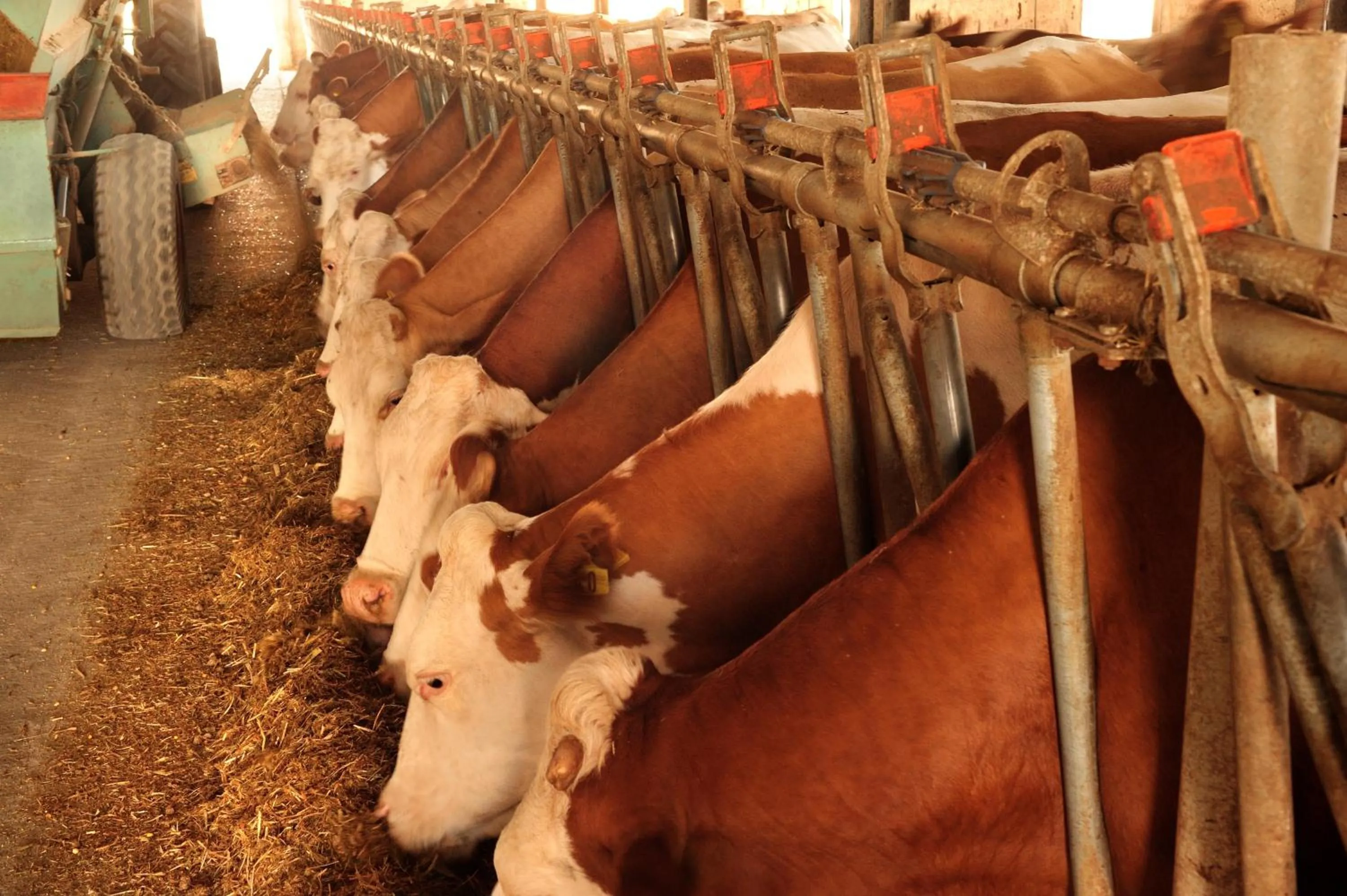 Other in Villa Dafne