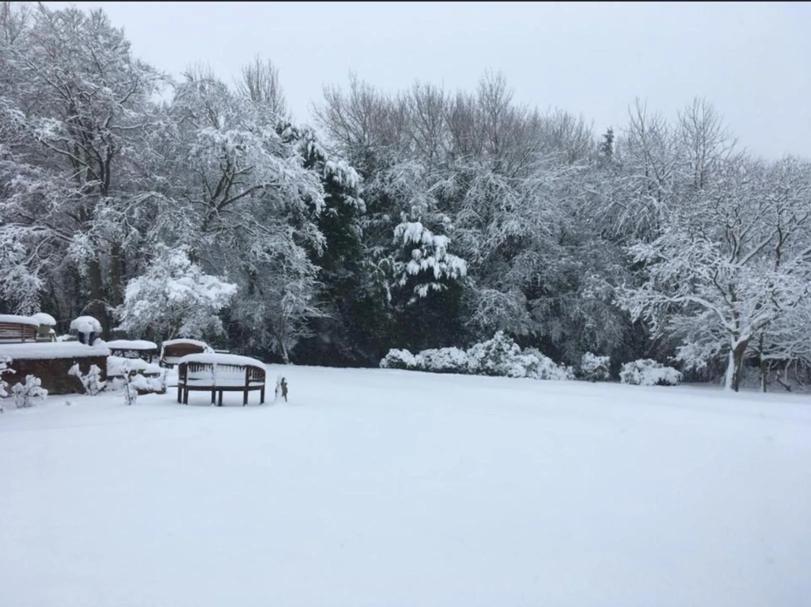 Garden in Meerkat Manor