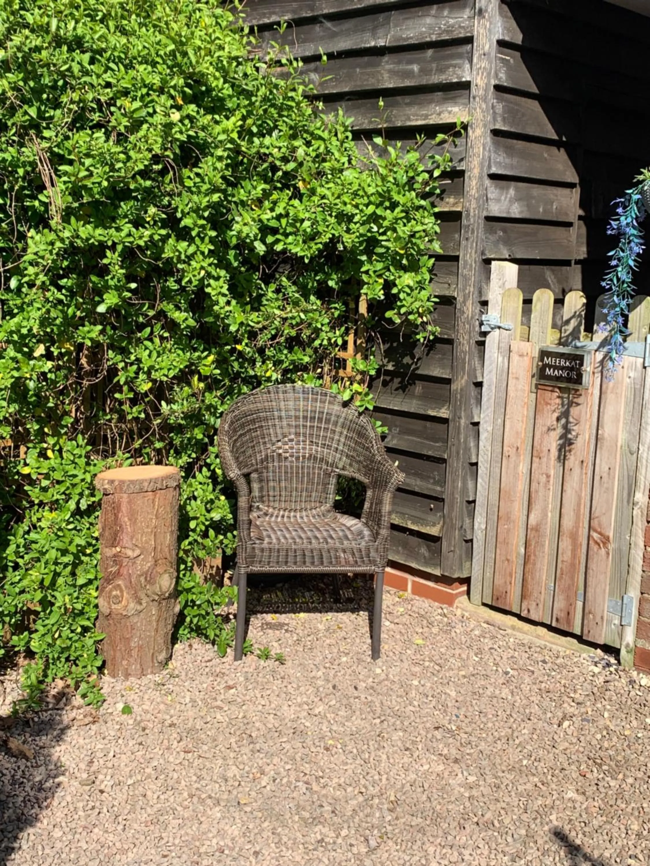 Meerkat Manor