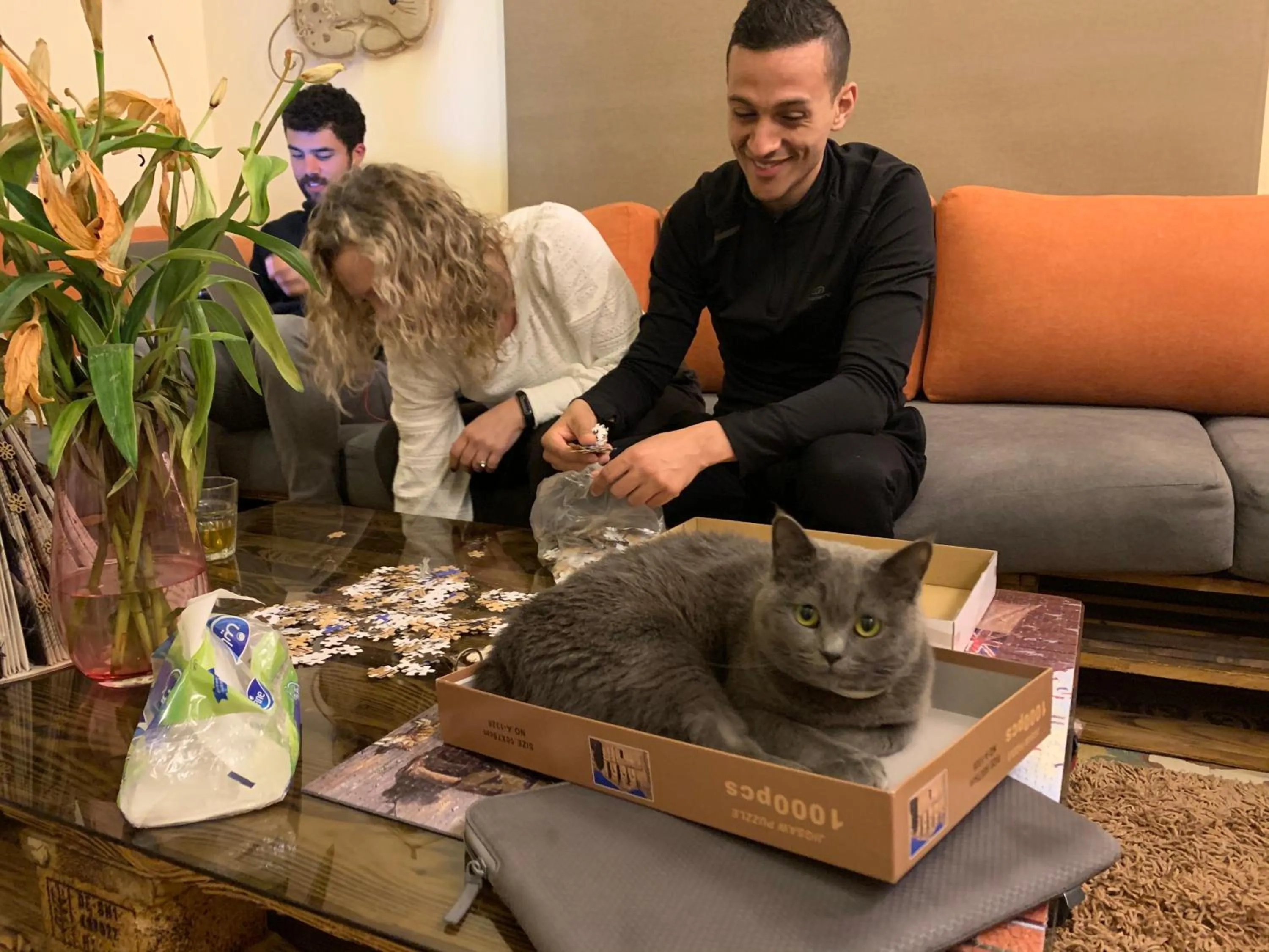 Communal lounge/ TV room in Carob Hostel