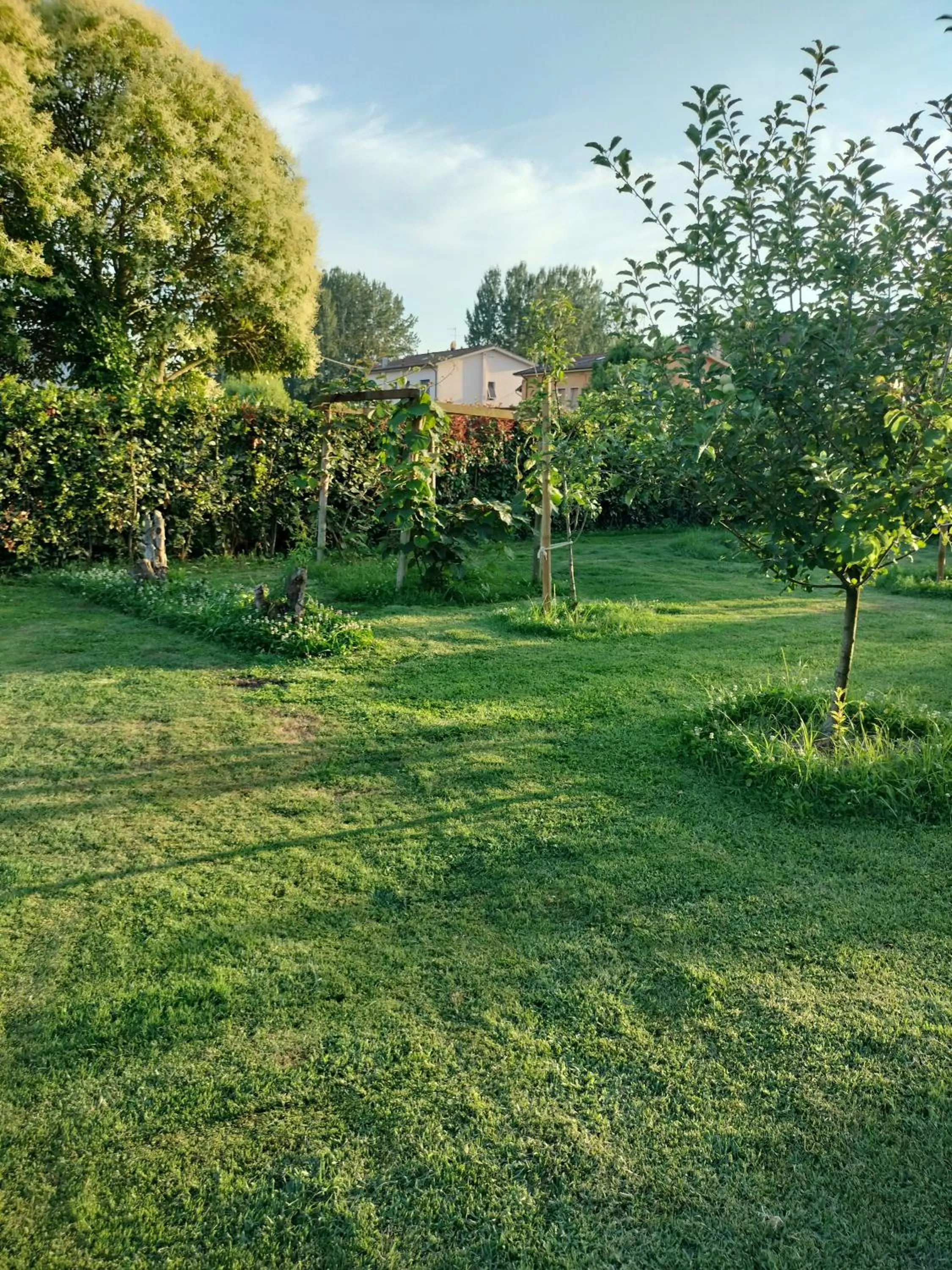 Garden in B&B La Rosa Nel Verde