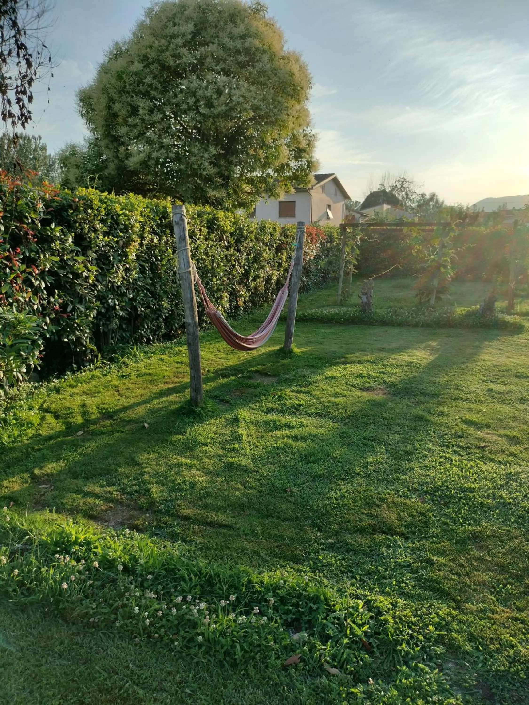 Garden in B&B La Rosa Nel Verde