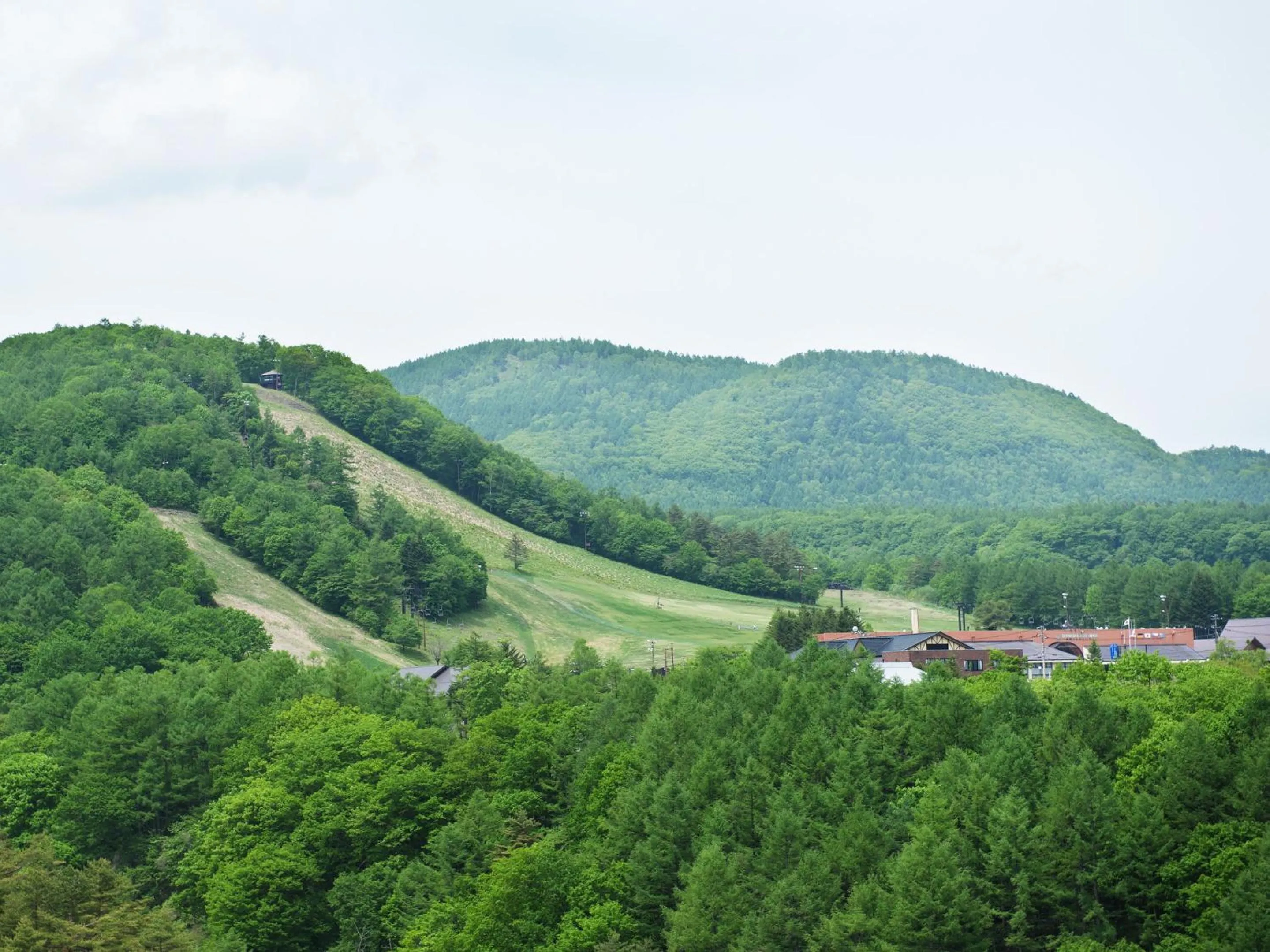 Natural landscape in Hotel New Koyo