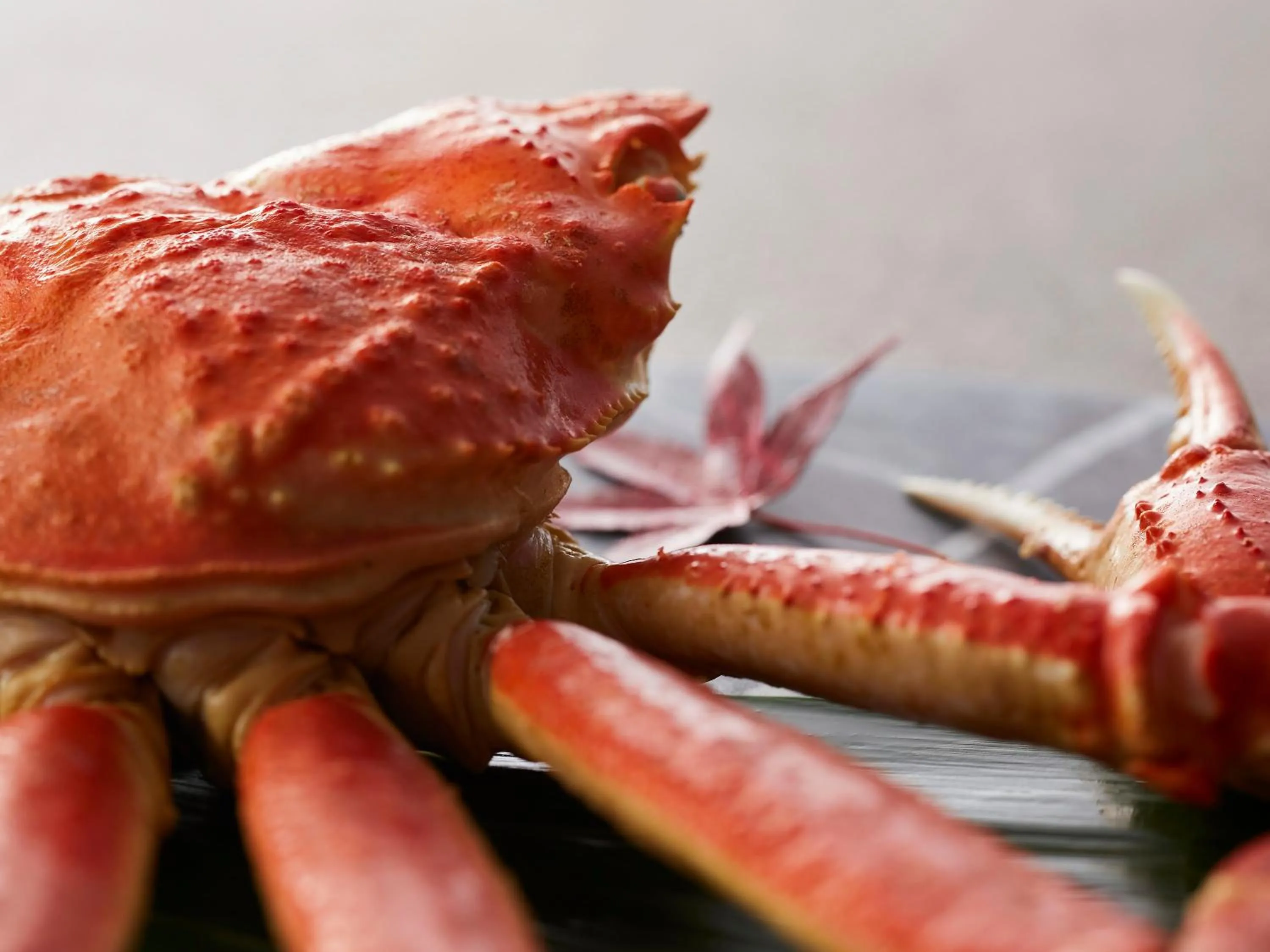 Dinner in KAMENOI HOTEL Yamato Heguri