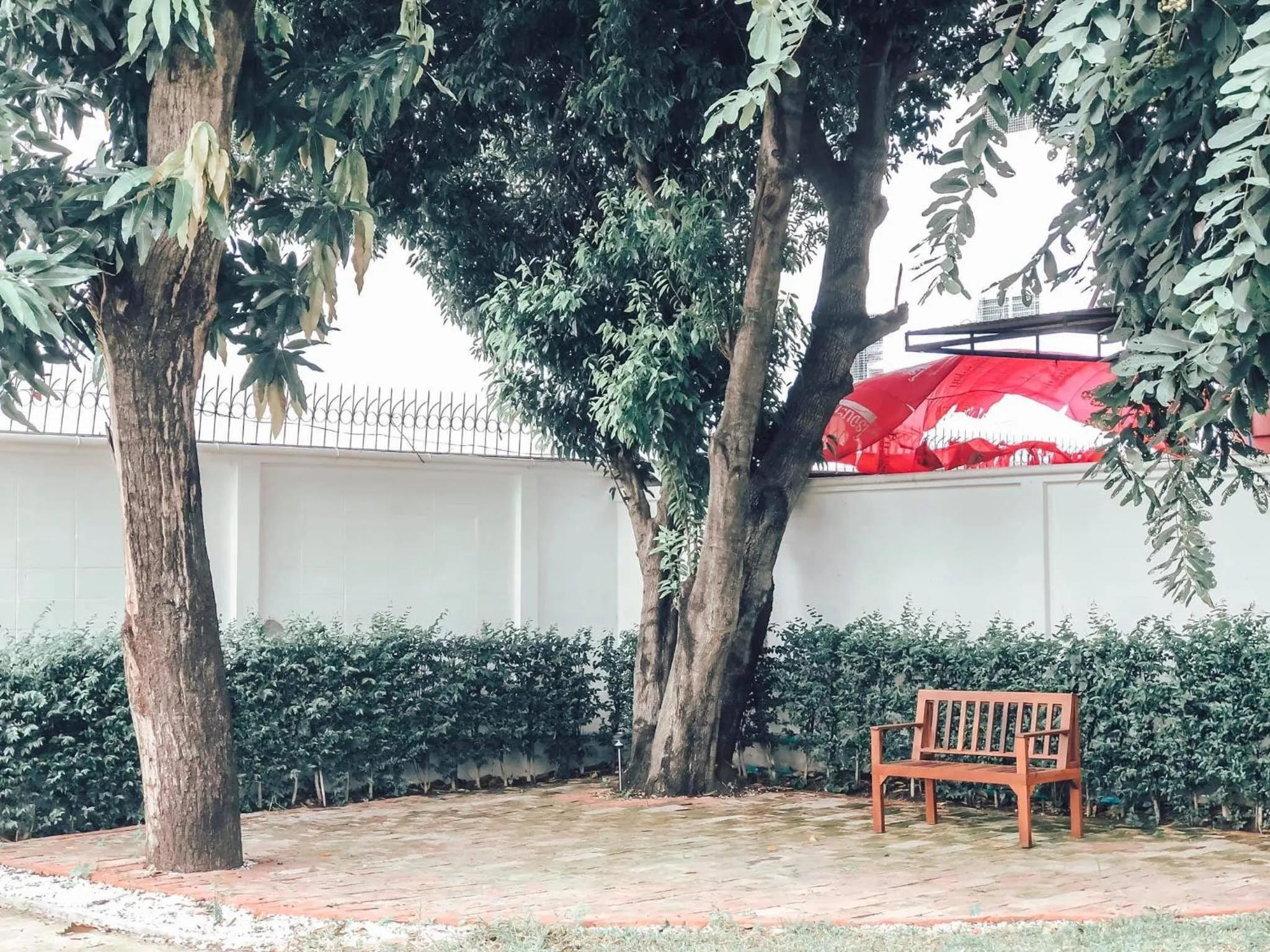 Garden in Baan Suan Krung Kao