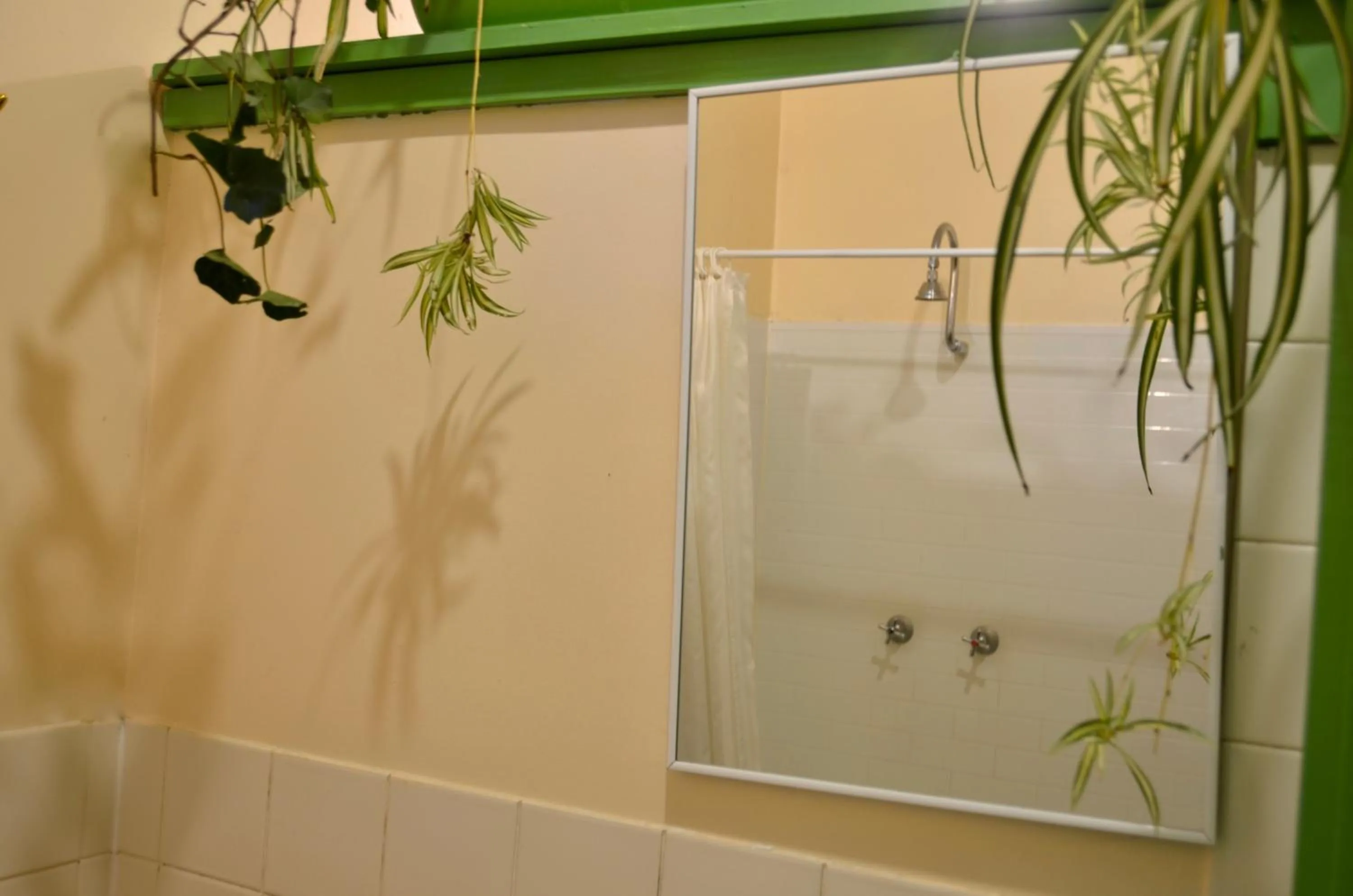 On-site shops in No14 Lovel St